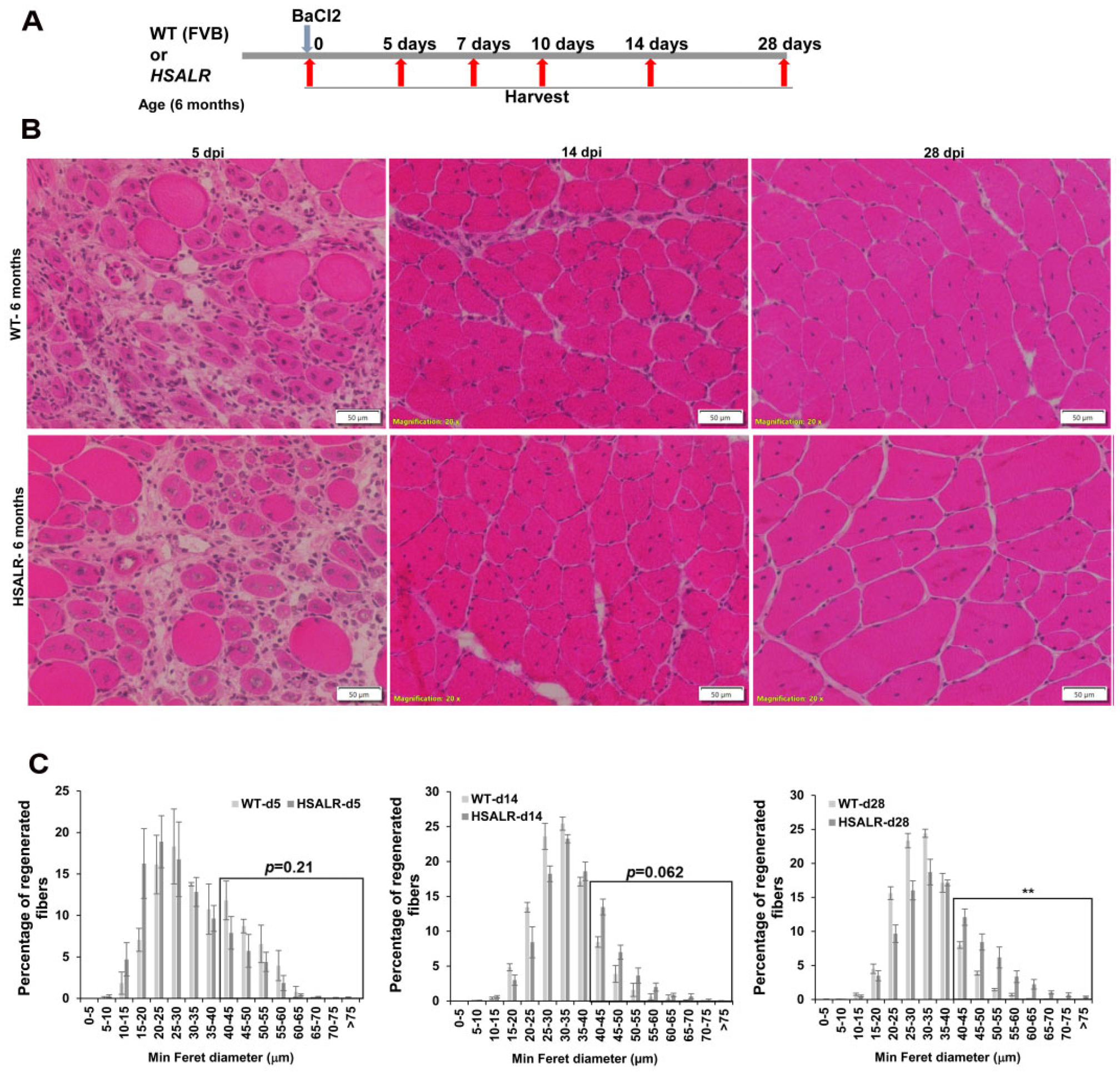Ijms 26 10985 g002 Ijms 26 10985 g002