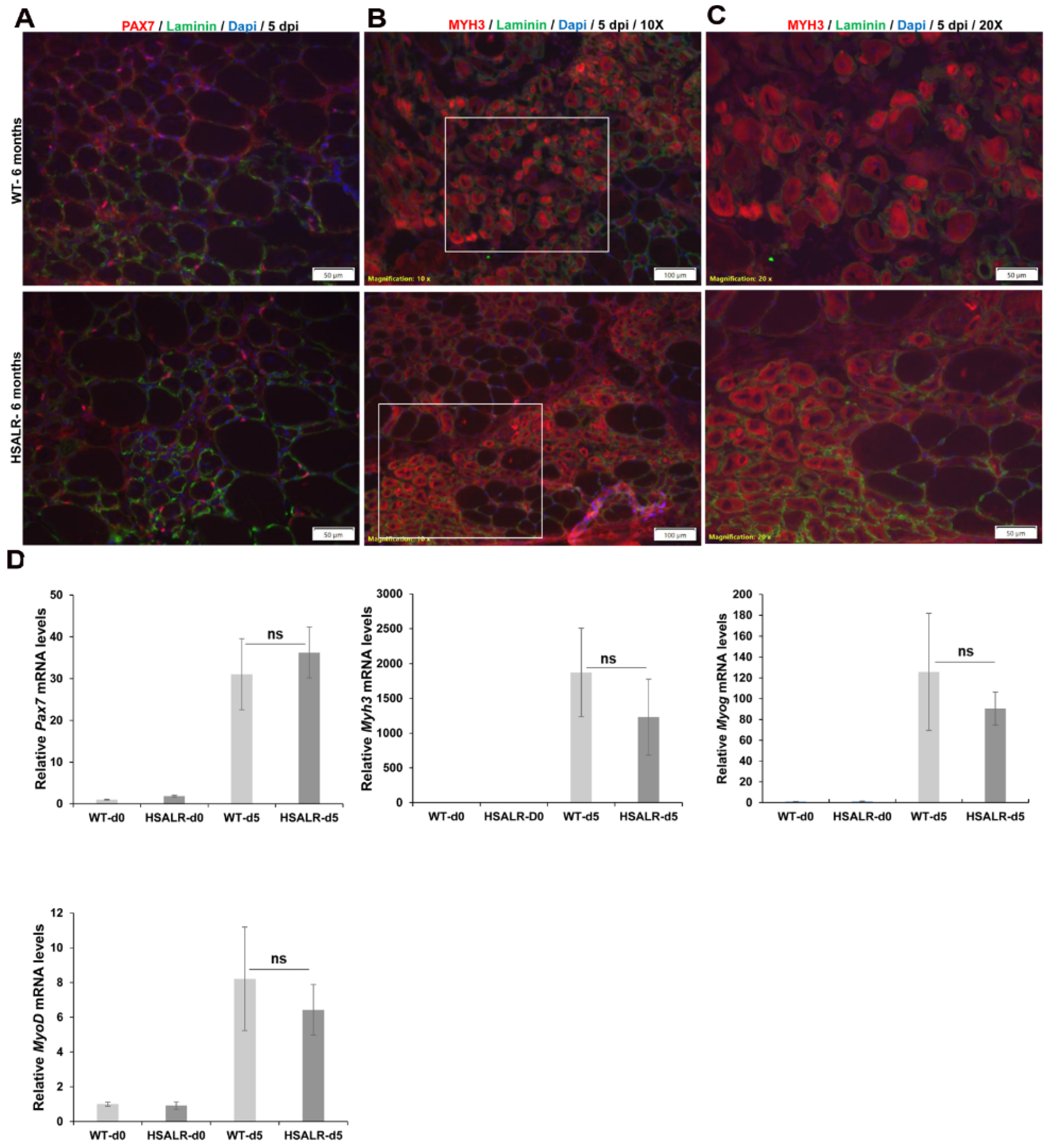 Ijms 26 10985 g003 Ijms 26 10985 g003