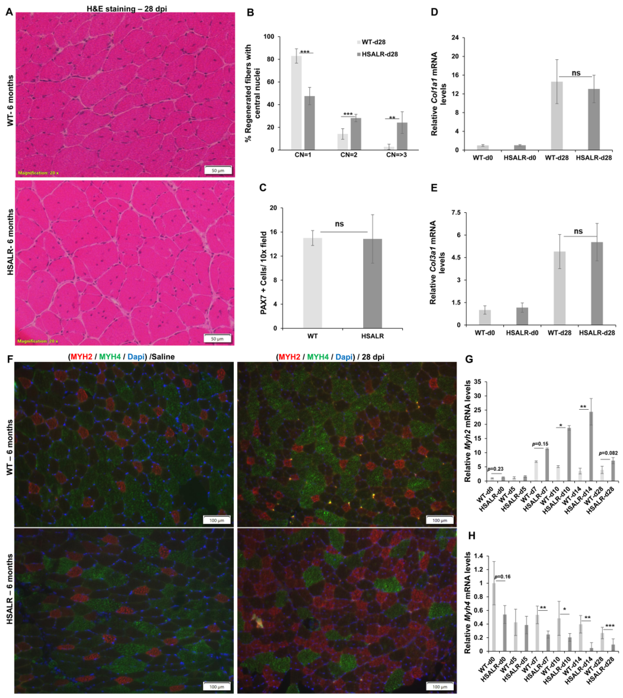 Ijms 26 10985 g004 Ijms 26 10985 g004