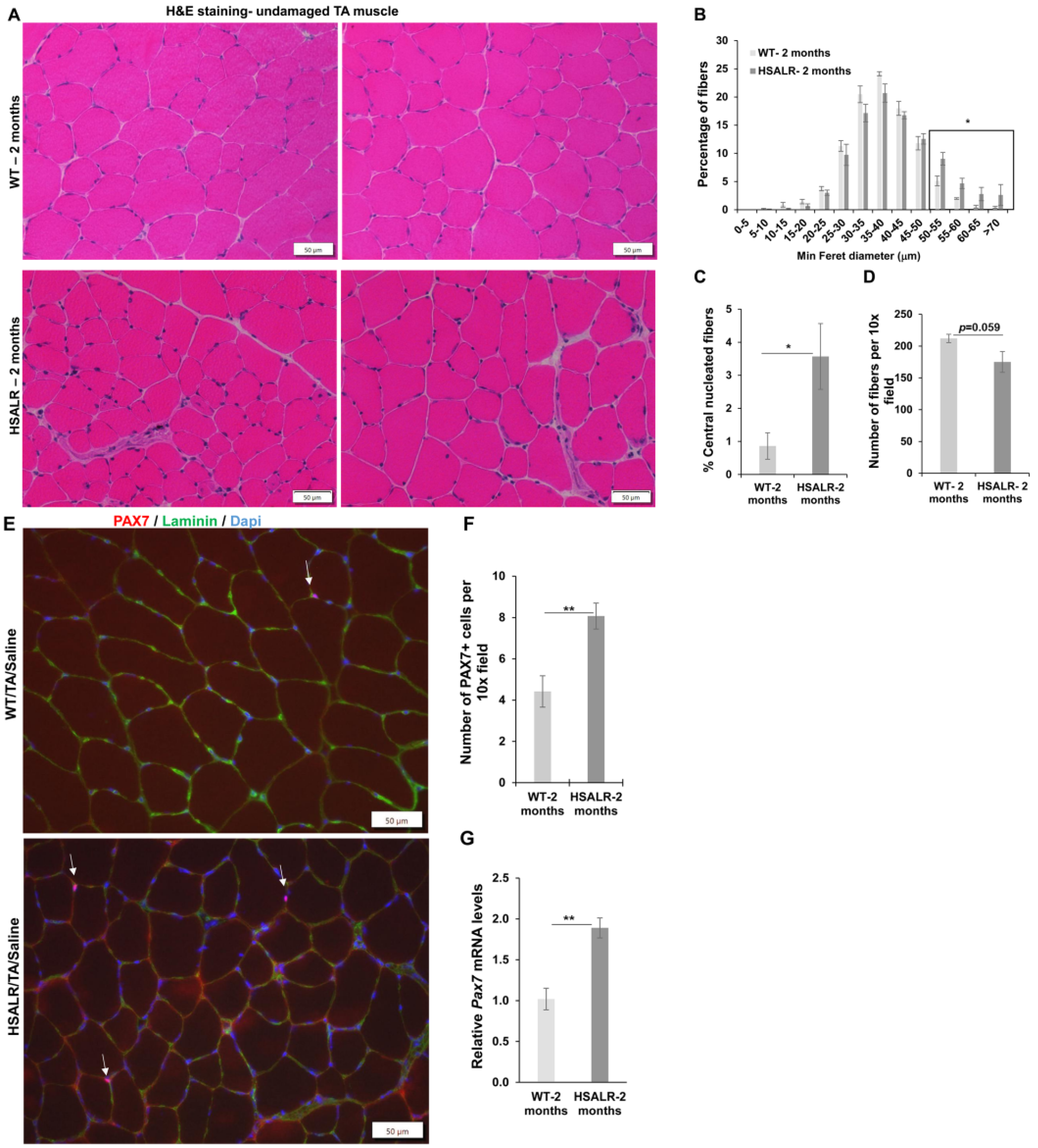 Ijms 26 10985 g005 Ijms 26 10985 g005
