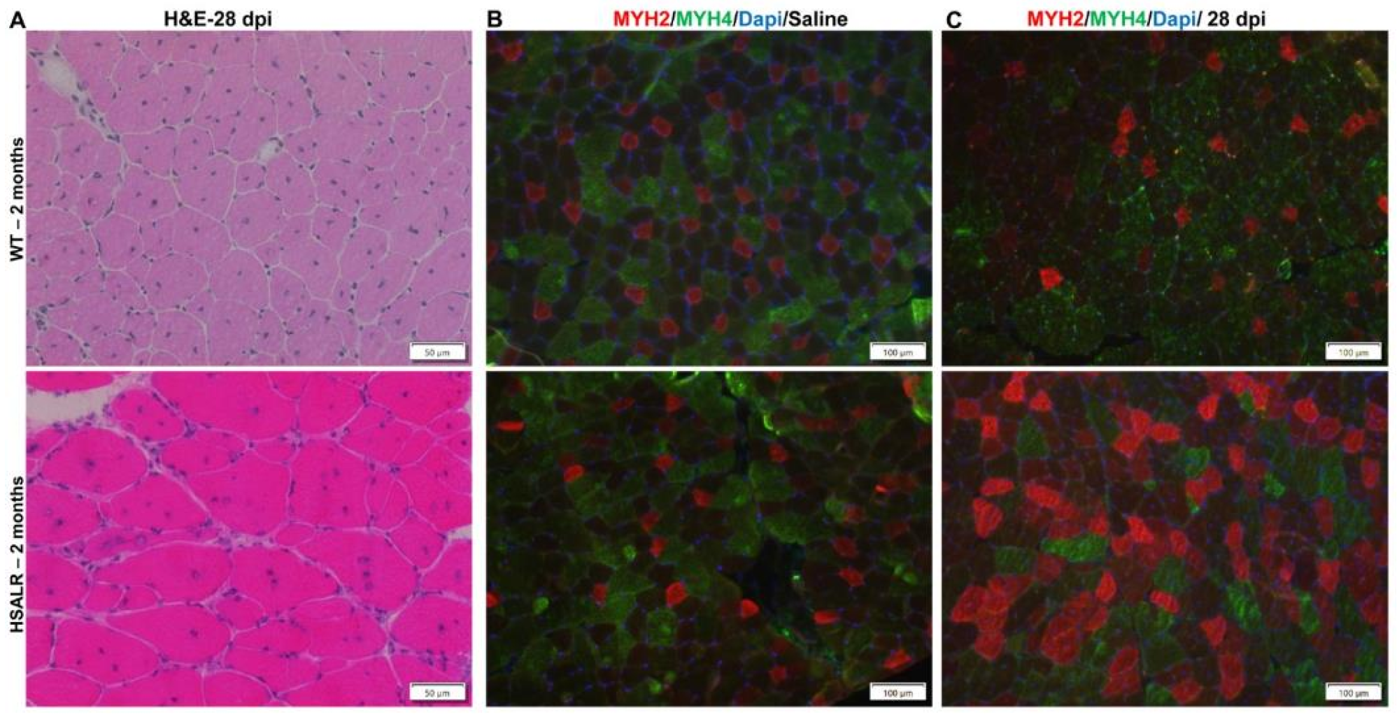 Ijms 26 10985 g007 Ijms 26 10985 g007