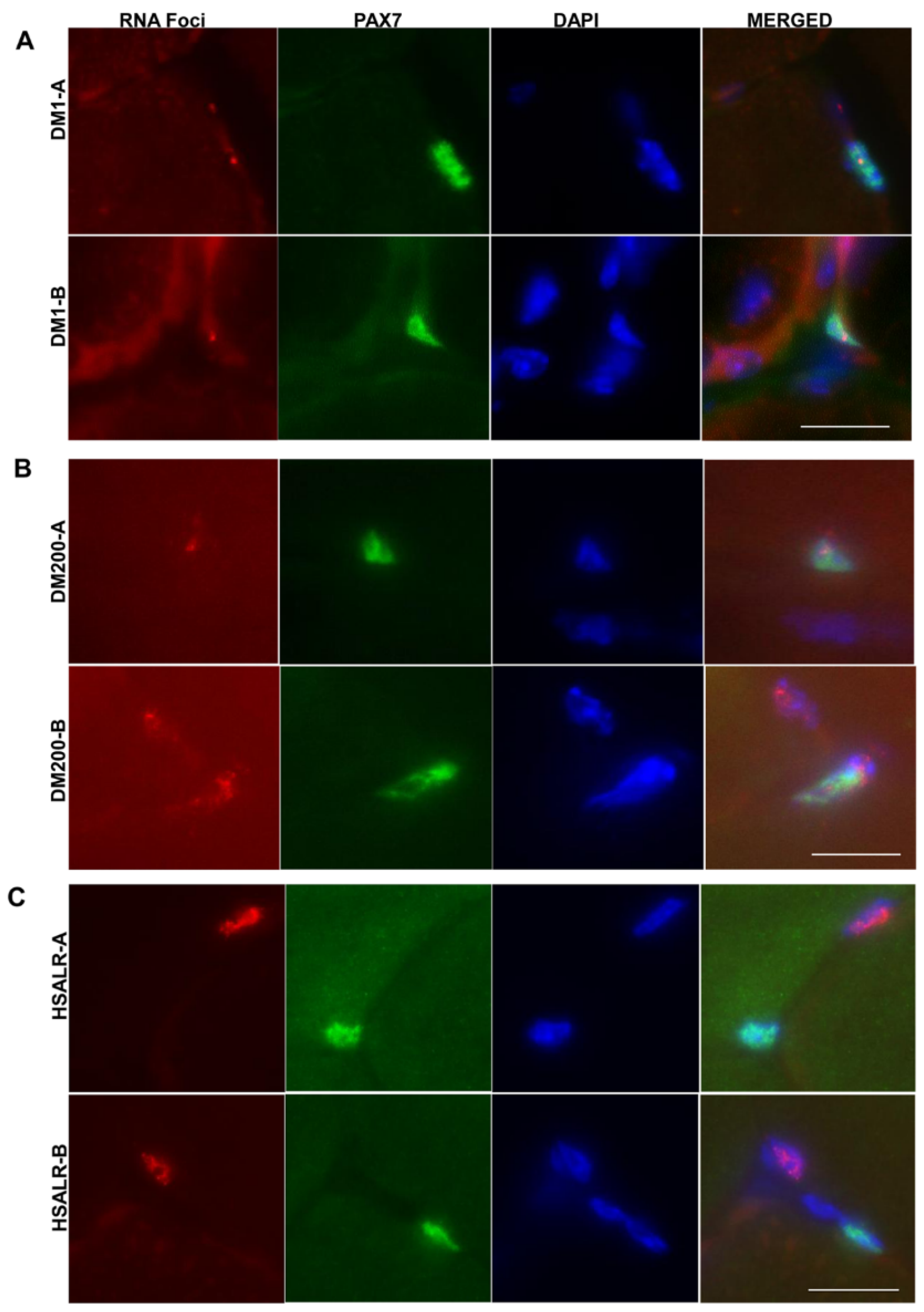 Ijms 26 10985 g008 Ijms 26 10985 g008
