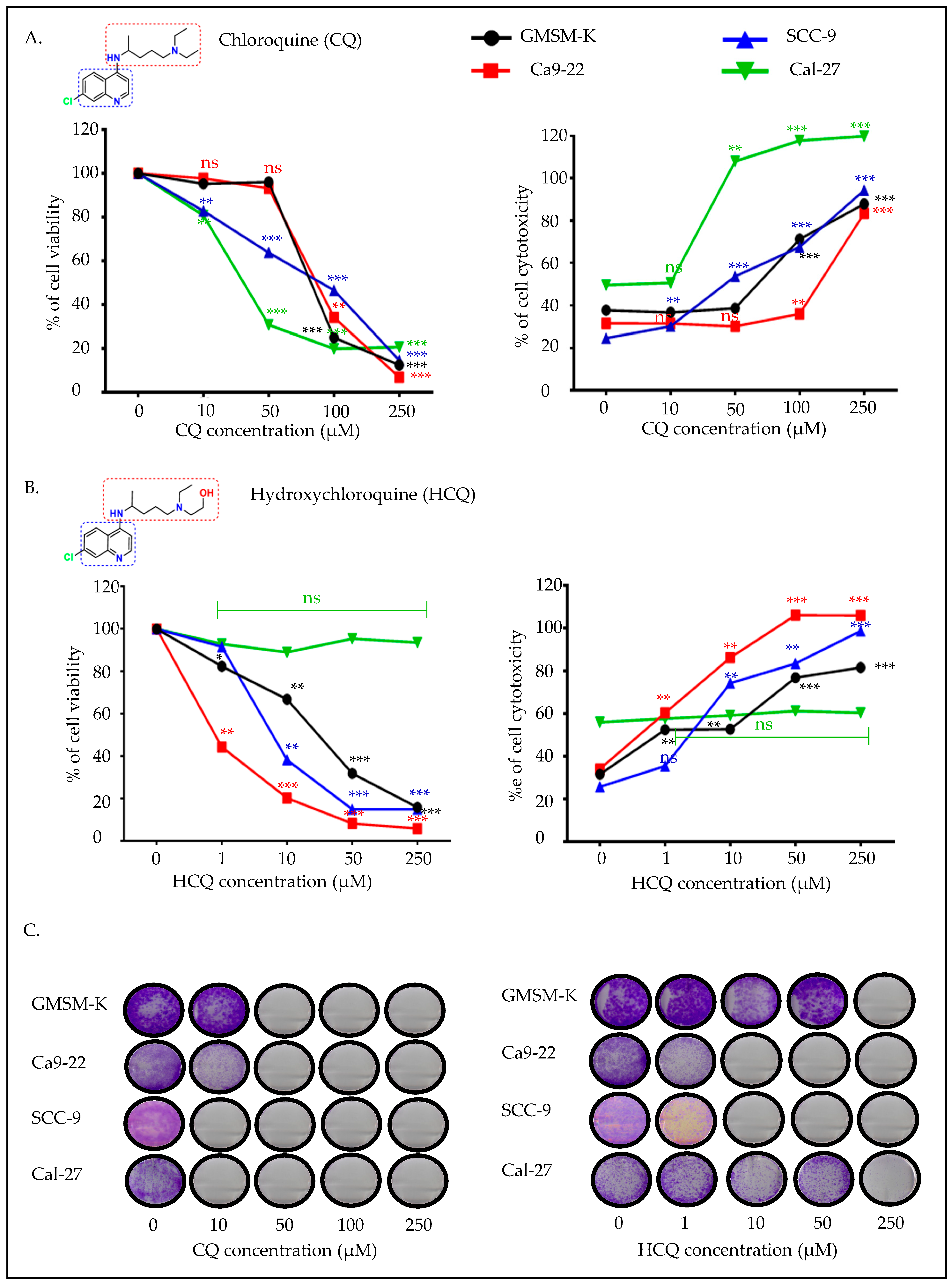 Ijms 26 10994 g001 Ijms 26 10994 g001