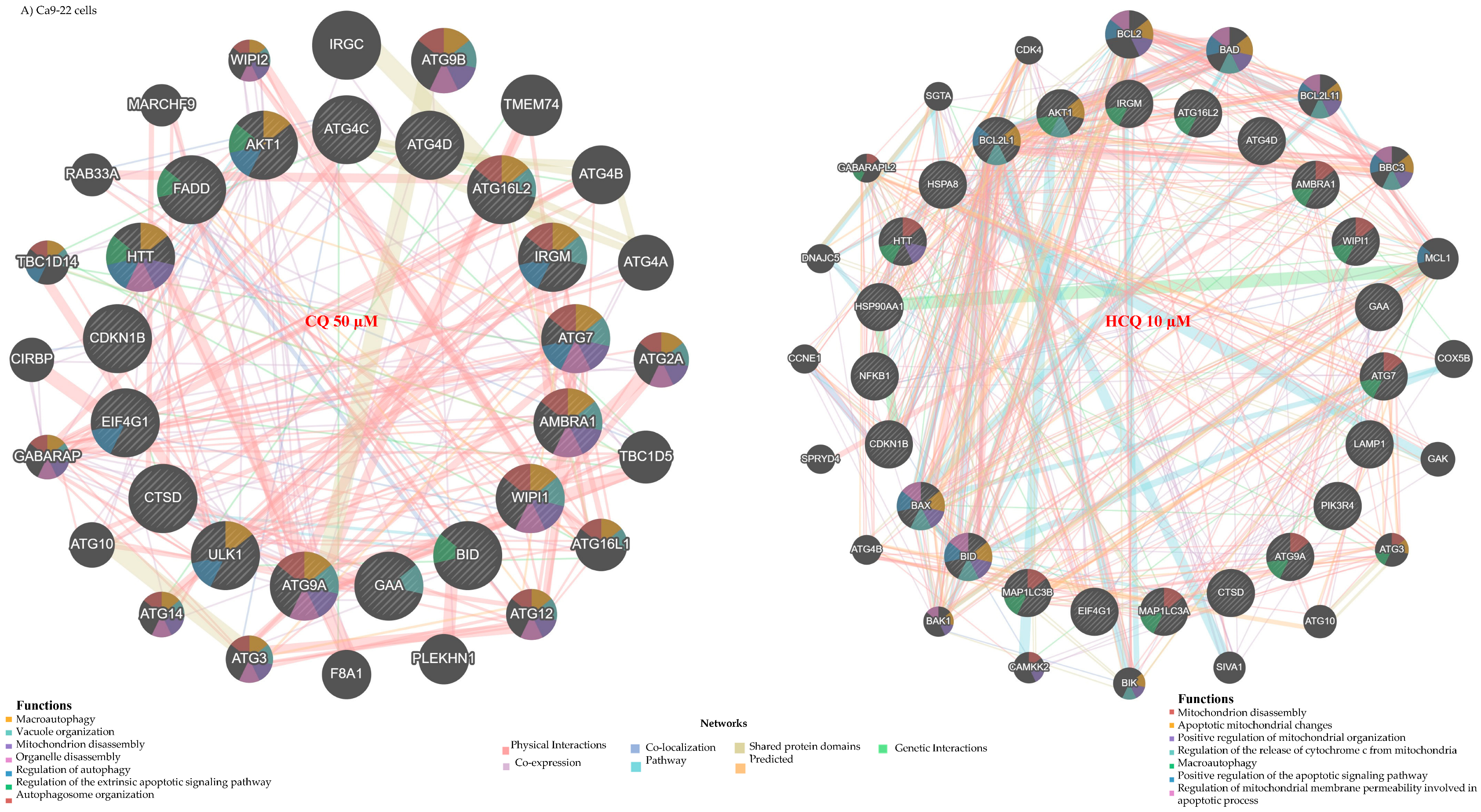 Ijms 26 10994 g004a Ijms 26 10994 g004a