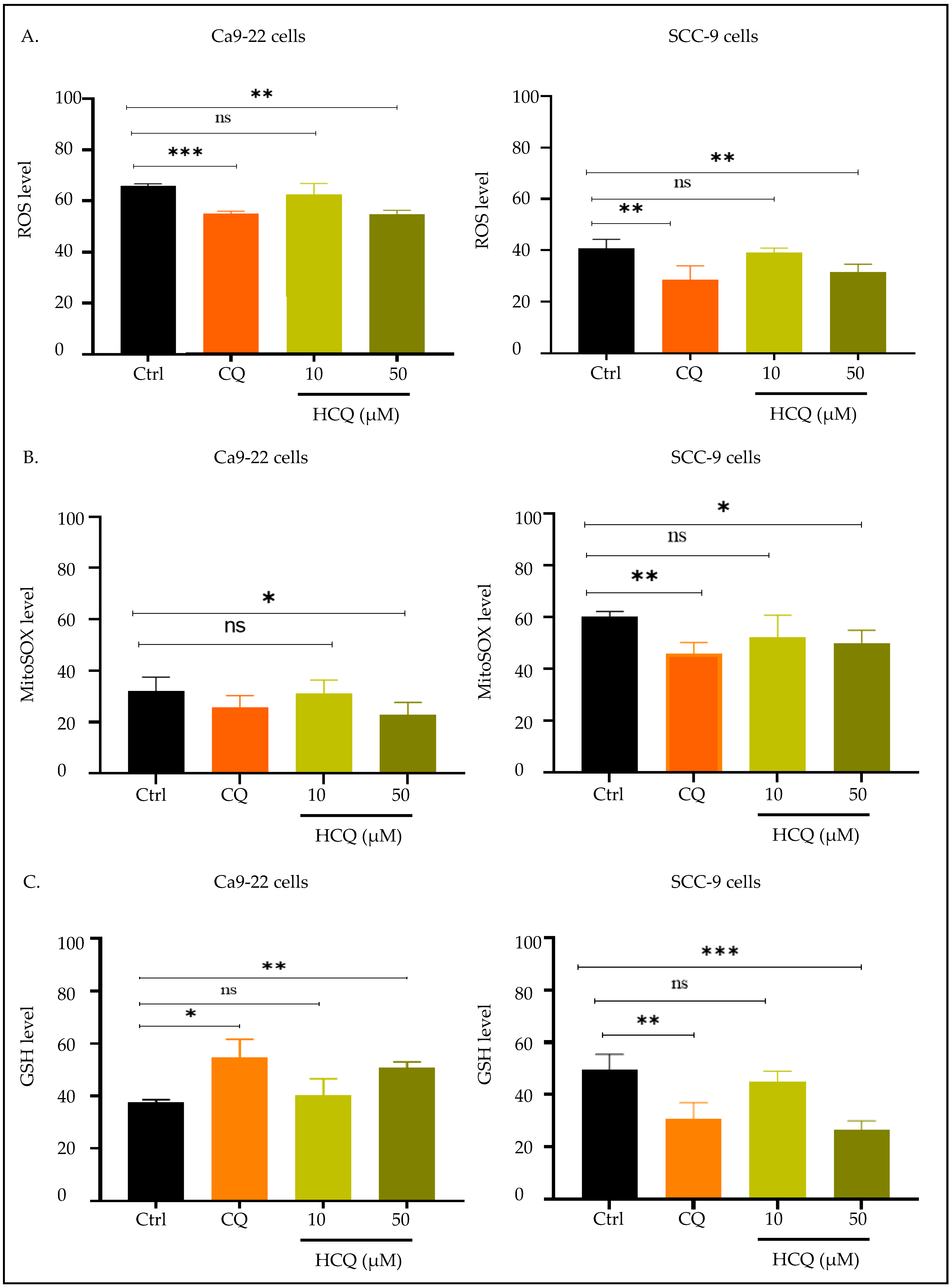 Ijms 26 10994 g006 Ijms 26 10994 g006