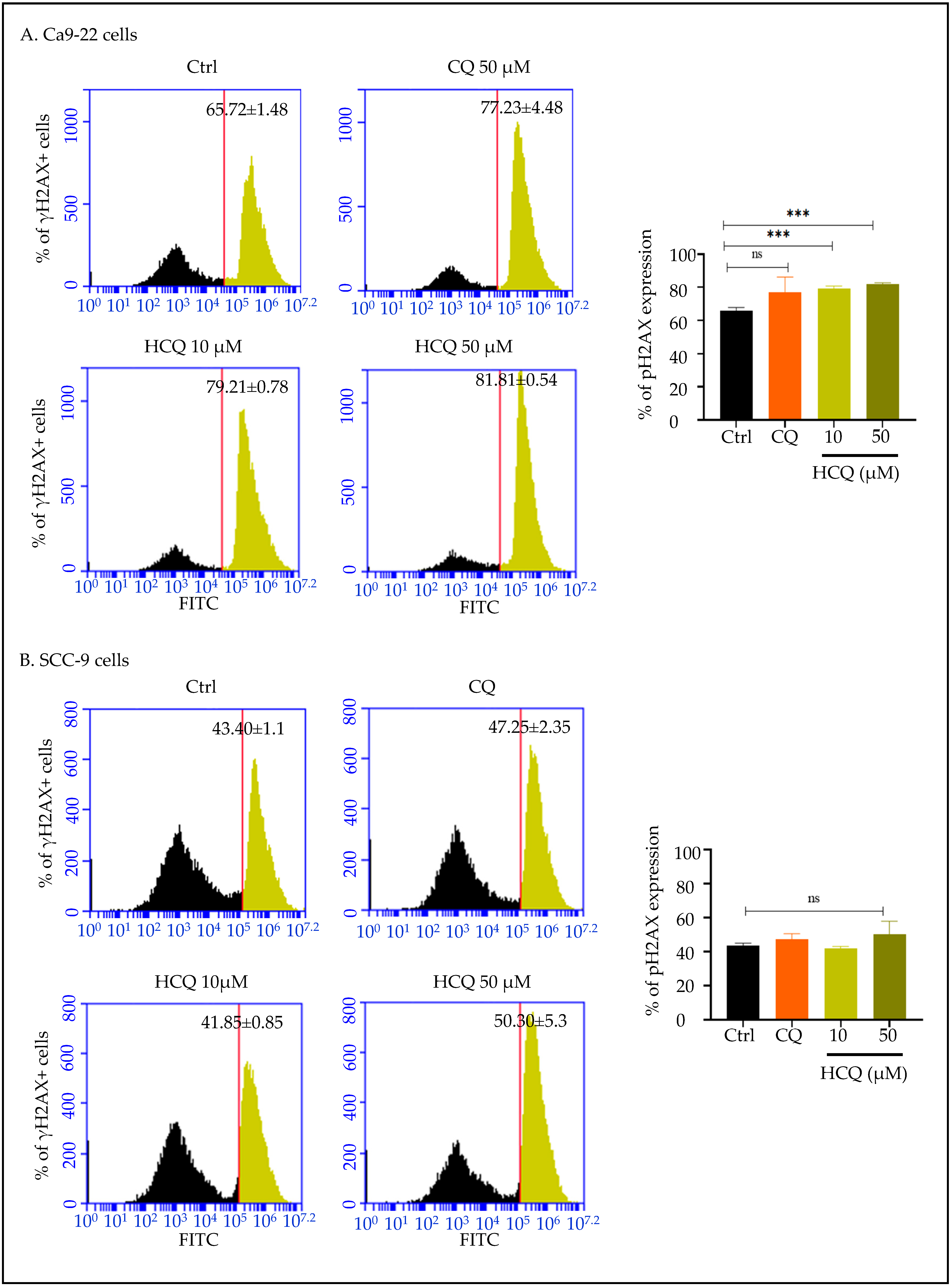 Ijms 26 10994 g007 Ijms 26 10994 g007