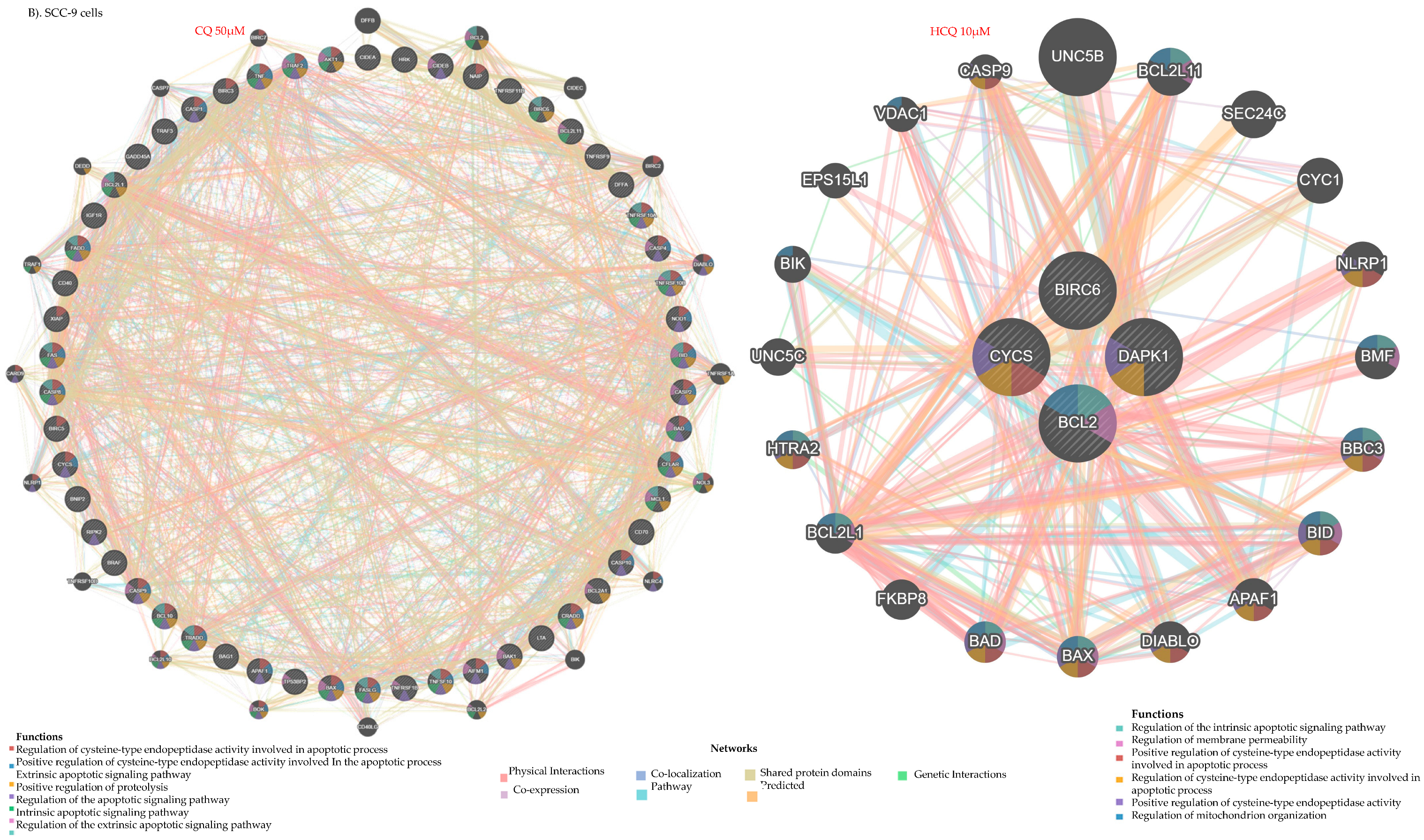 Ijms 26 10994 g010b Ijms 26 10994 g010b