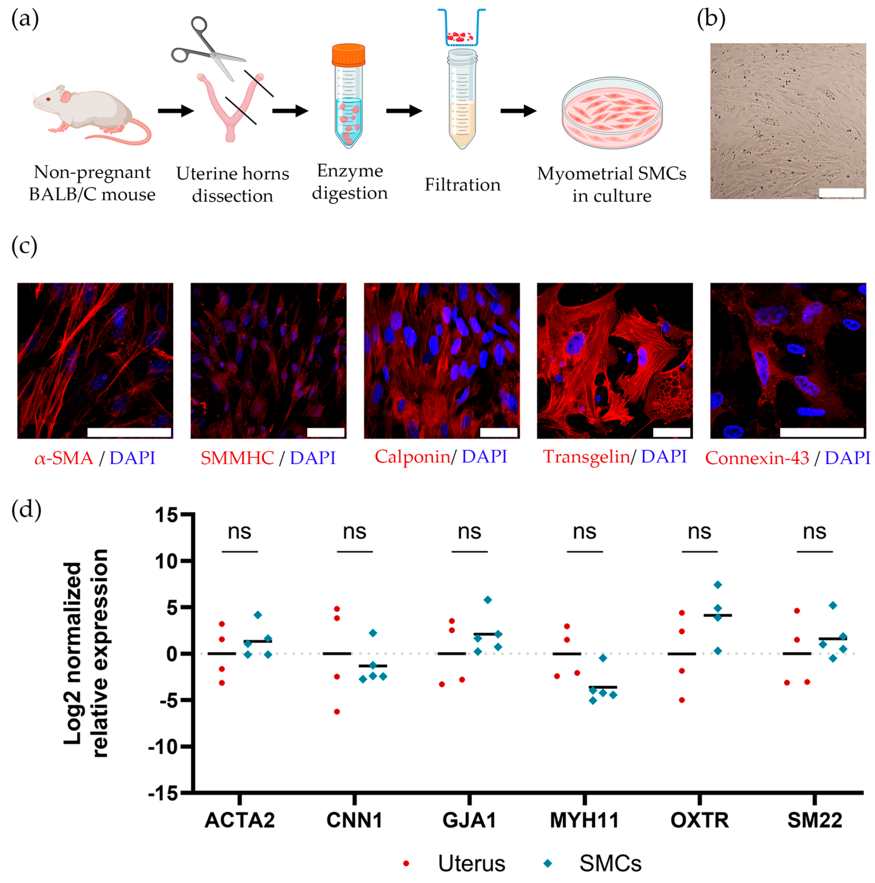 Ijms 26 10995 g002 Ijms 26 10995 g002