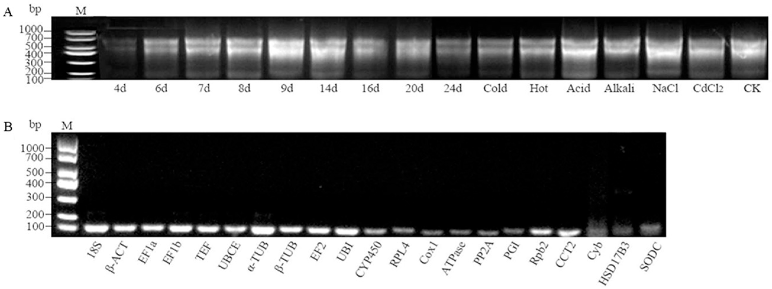 Ijms 26 11004 g001 Ijms 26 11004 g001