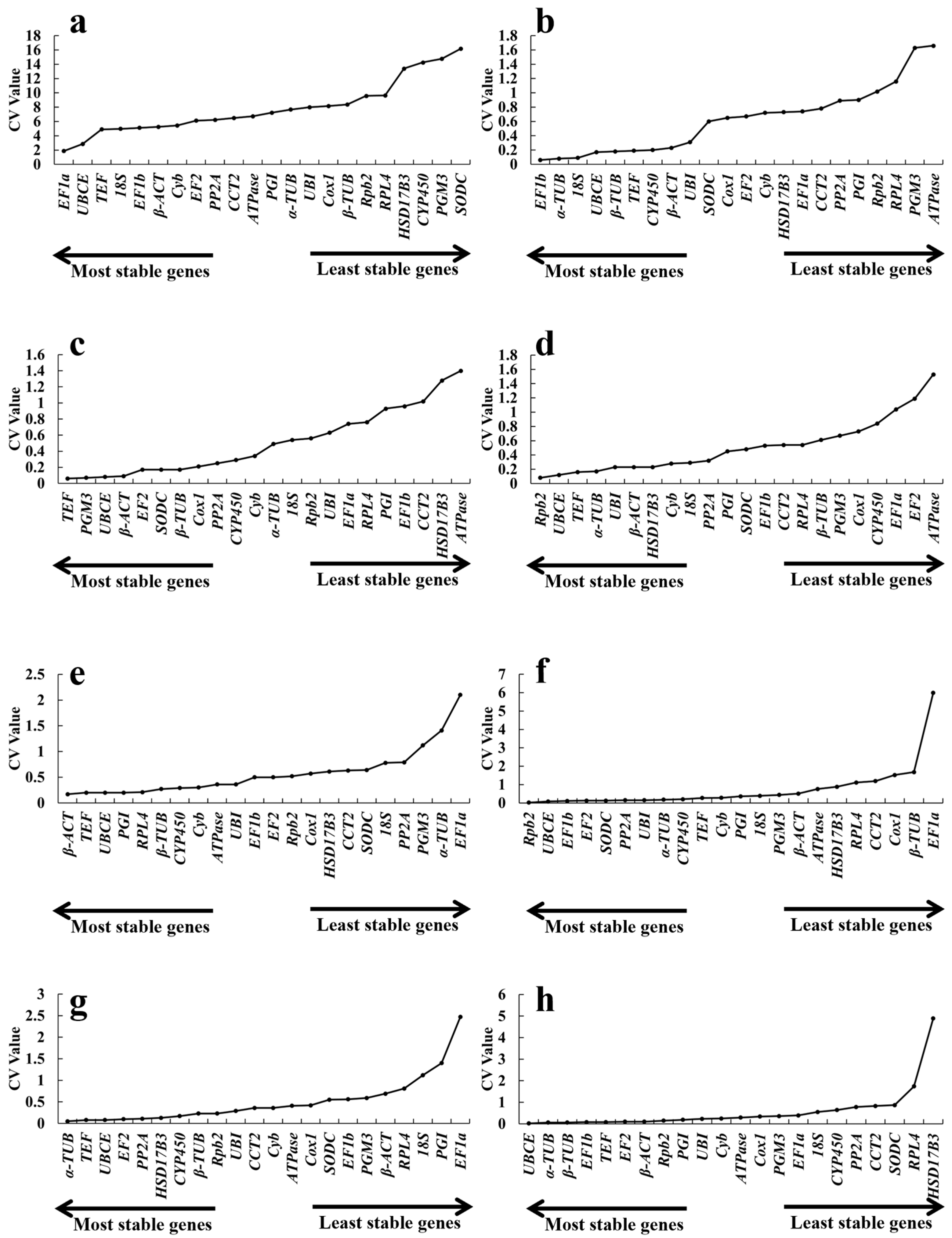 Ijms 26 11004 g006 Ijms 26 11004 g006