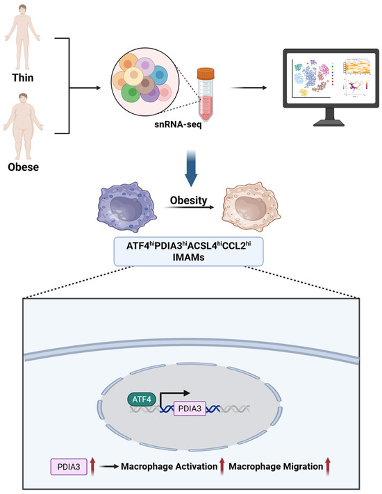 Single-Cell Multi-Omics in Type 2 Diabetes Mellitus: Revealing Cellular ...