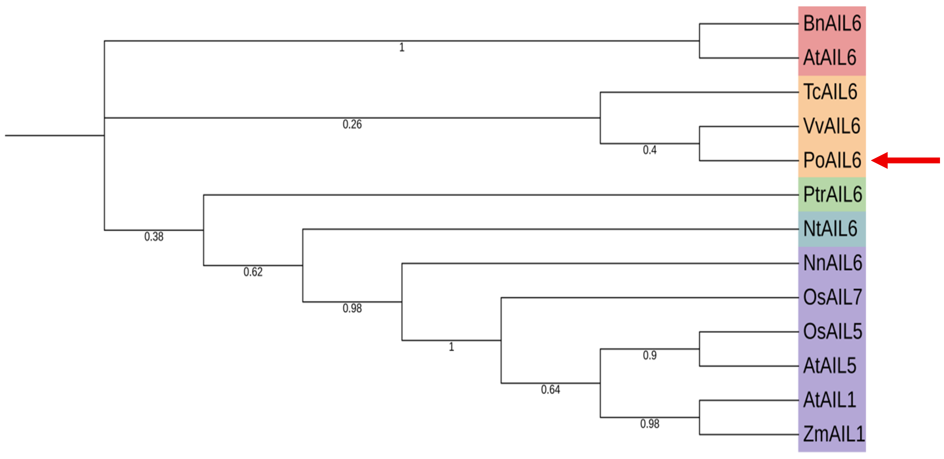 Ijms 26 11006 g002 Ijms 26 11006 g002