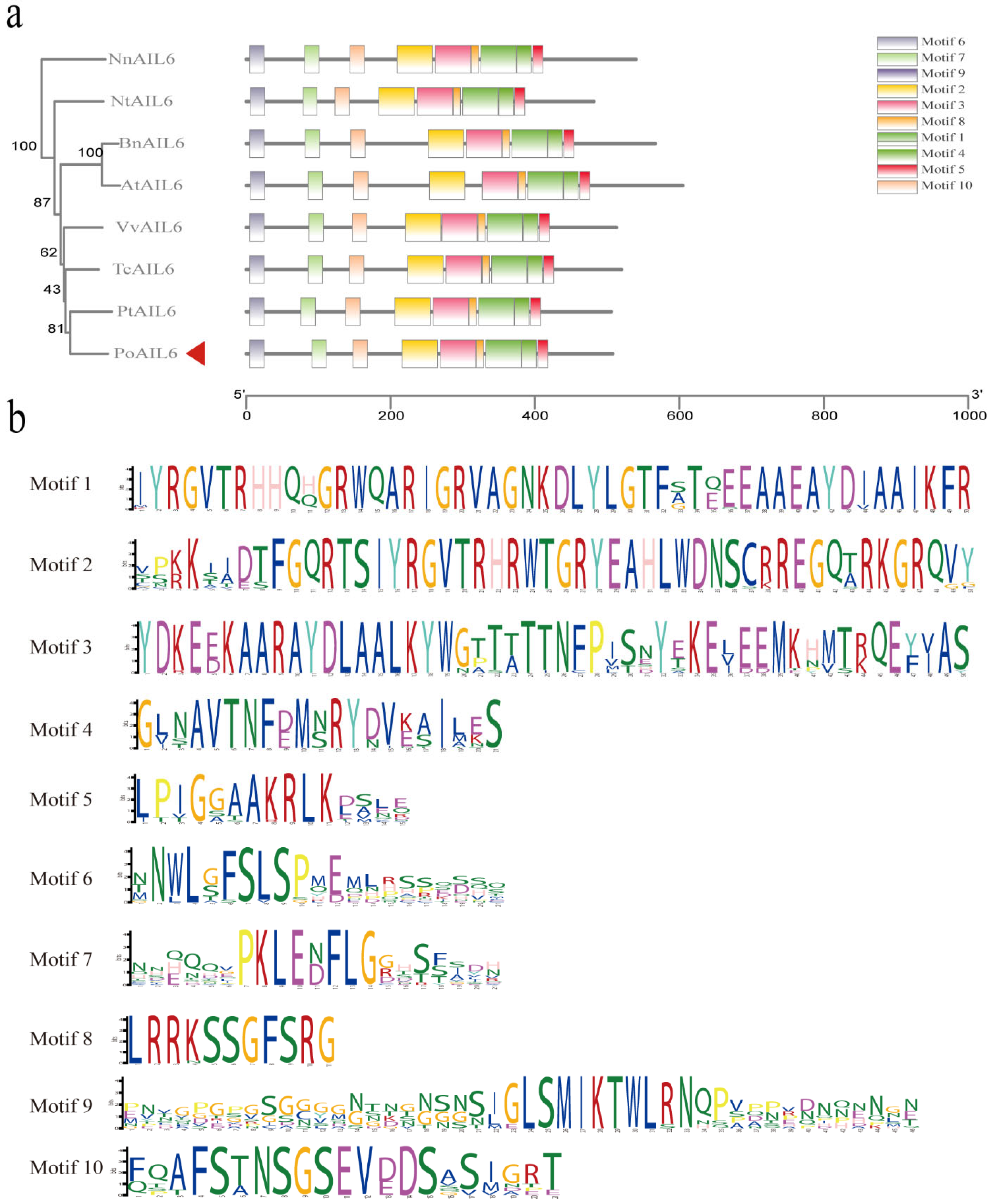 Ijms 26 11006 g004 Ijms 26 11006 g004