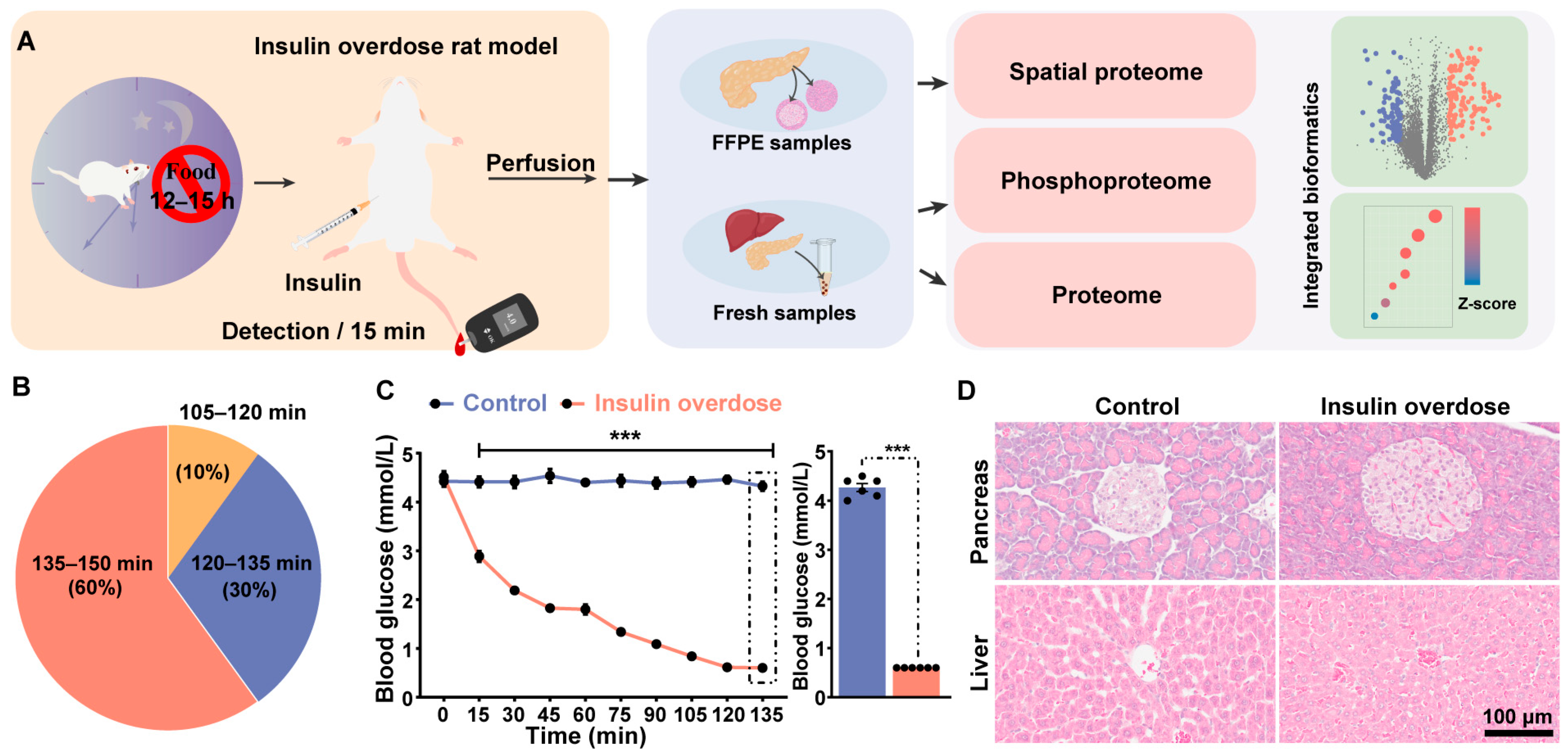Ijms 26 11018 g001 Ijms 26 11018 g001