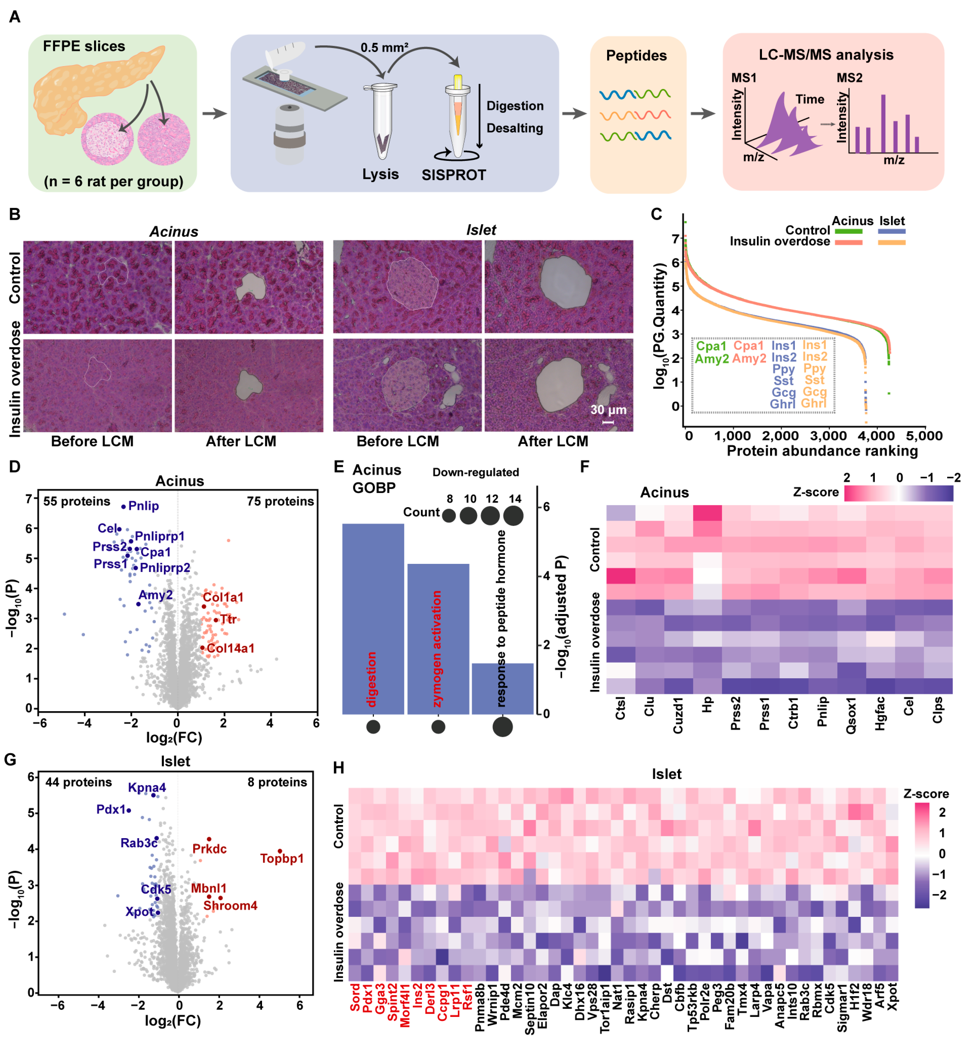 Ijms 26 11018 g002 Ijms 26 11018 g002