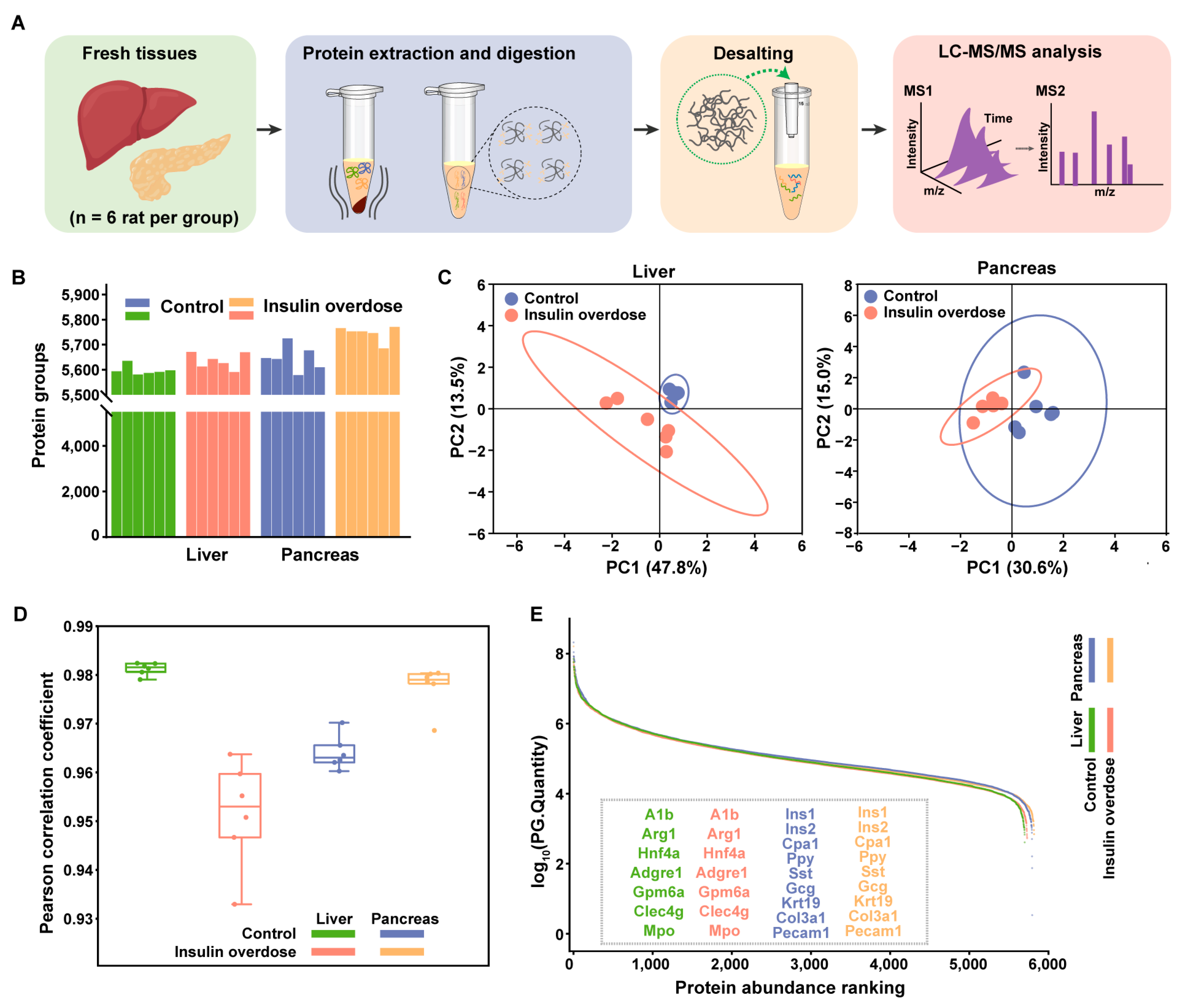Ijms 26 11018 g003 Ijms 26 11018 g003
