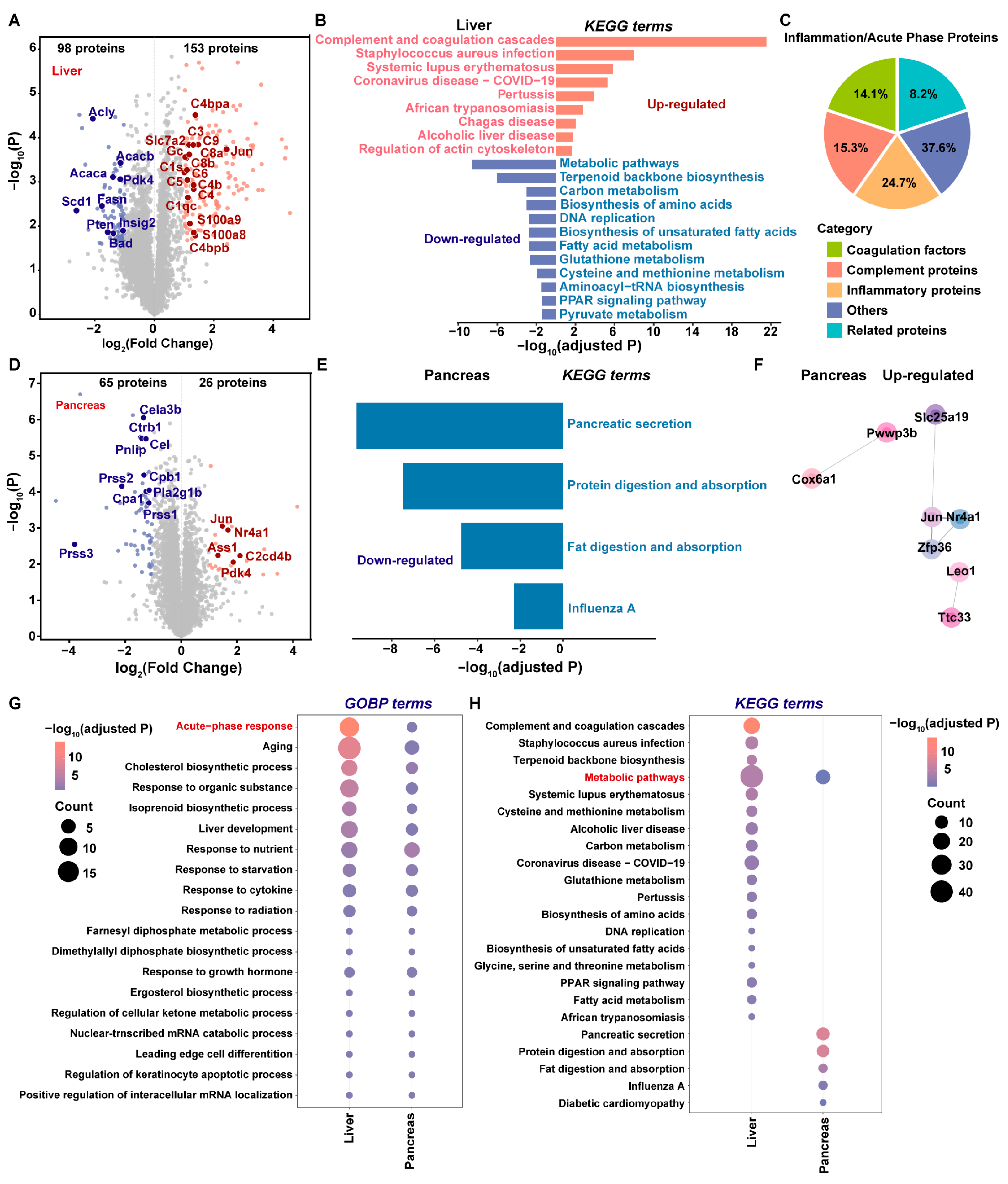Ijms 26 11018 g004 Ijms 26 11018 g004