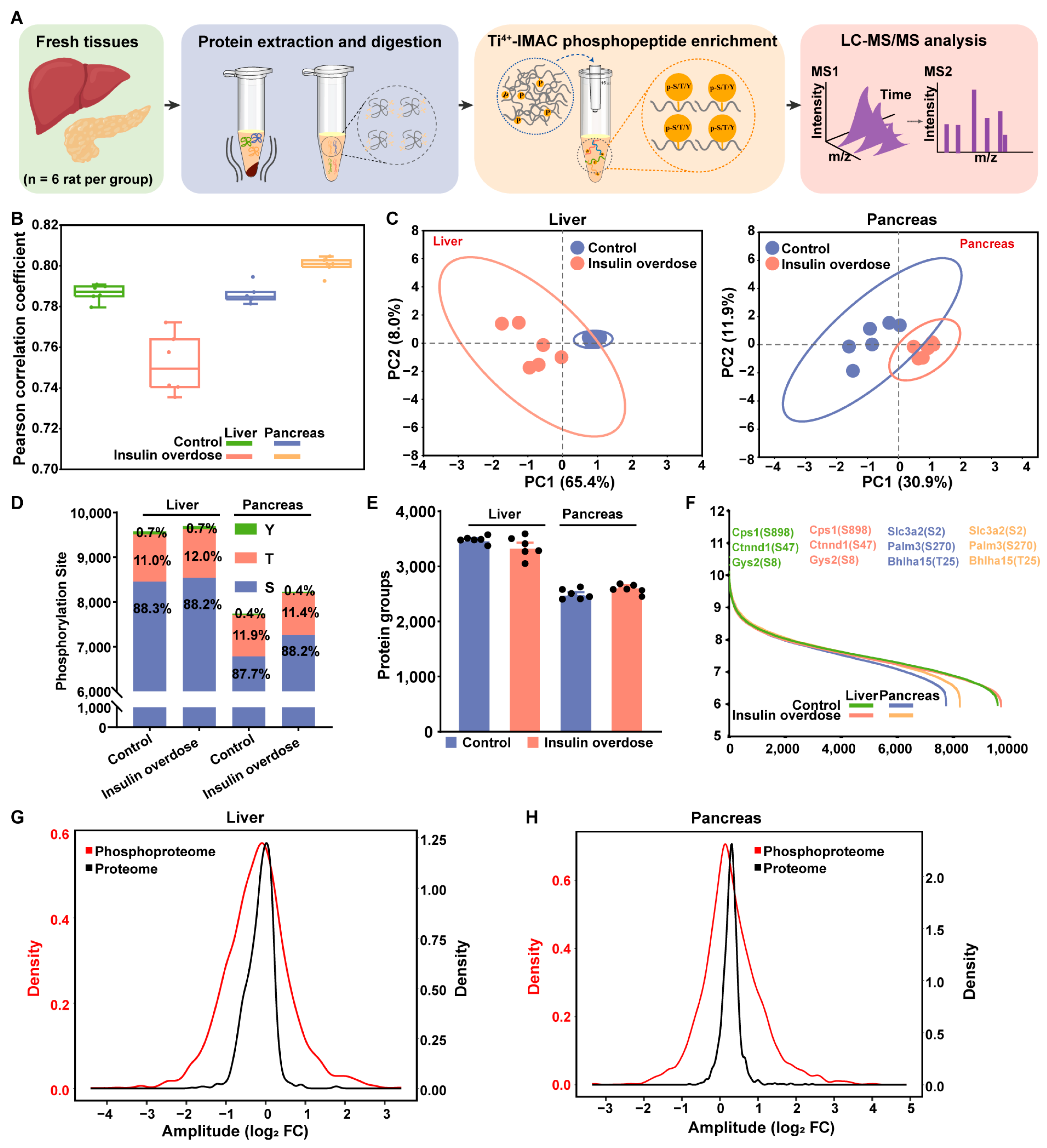 Ijms 26 11018 g005 Ijms 26 11018 g005