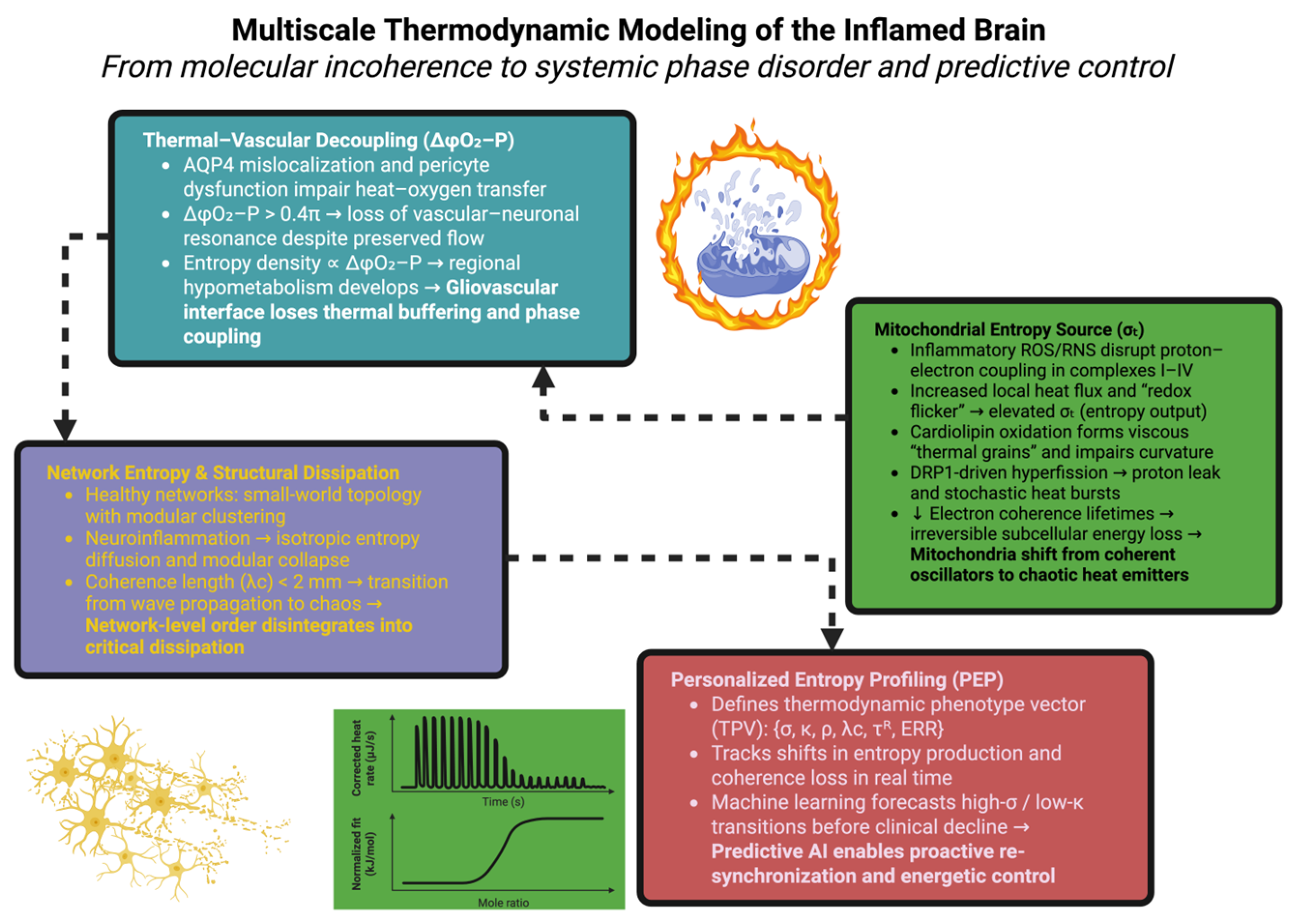 Ijms 26 11022 g004 Ijms 26 11022 g004
