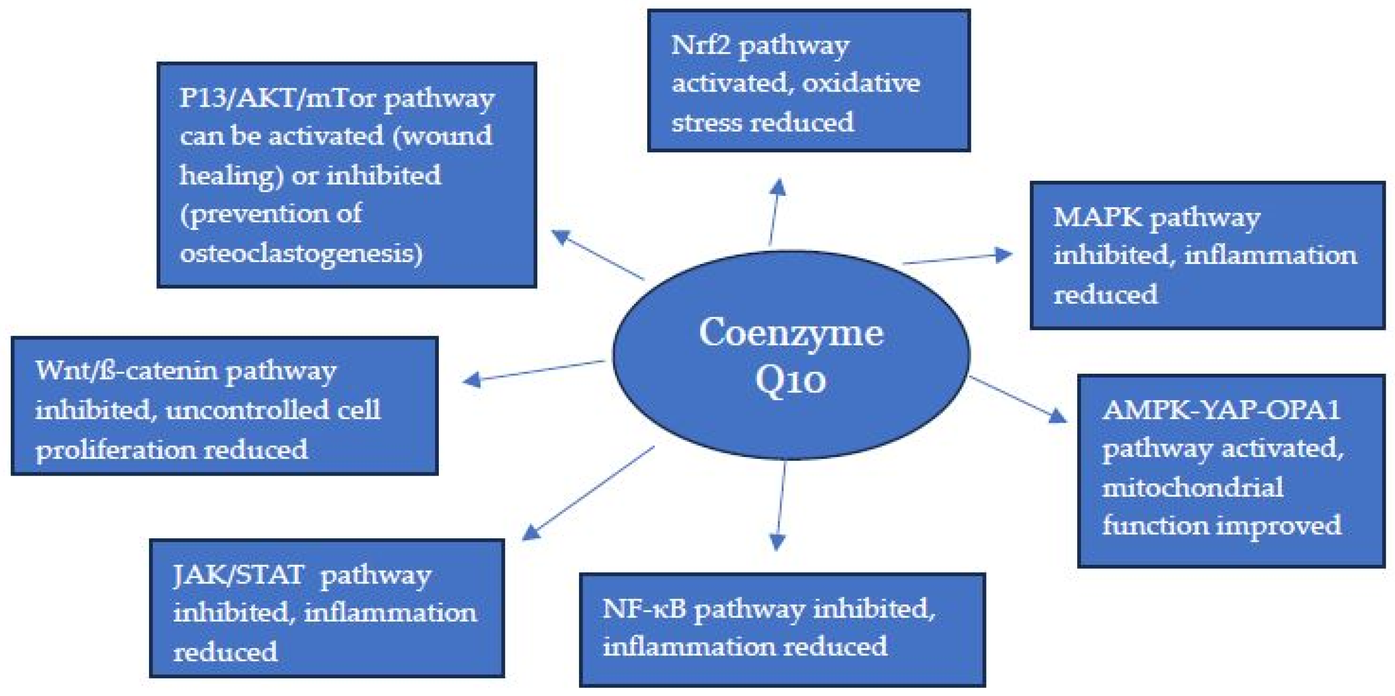 Ijms 26 11024 g001 Ijms 26 11024 g001