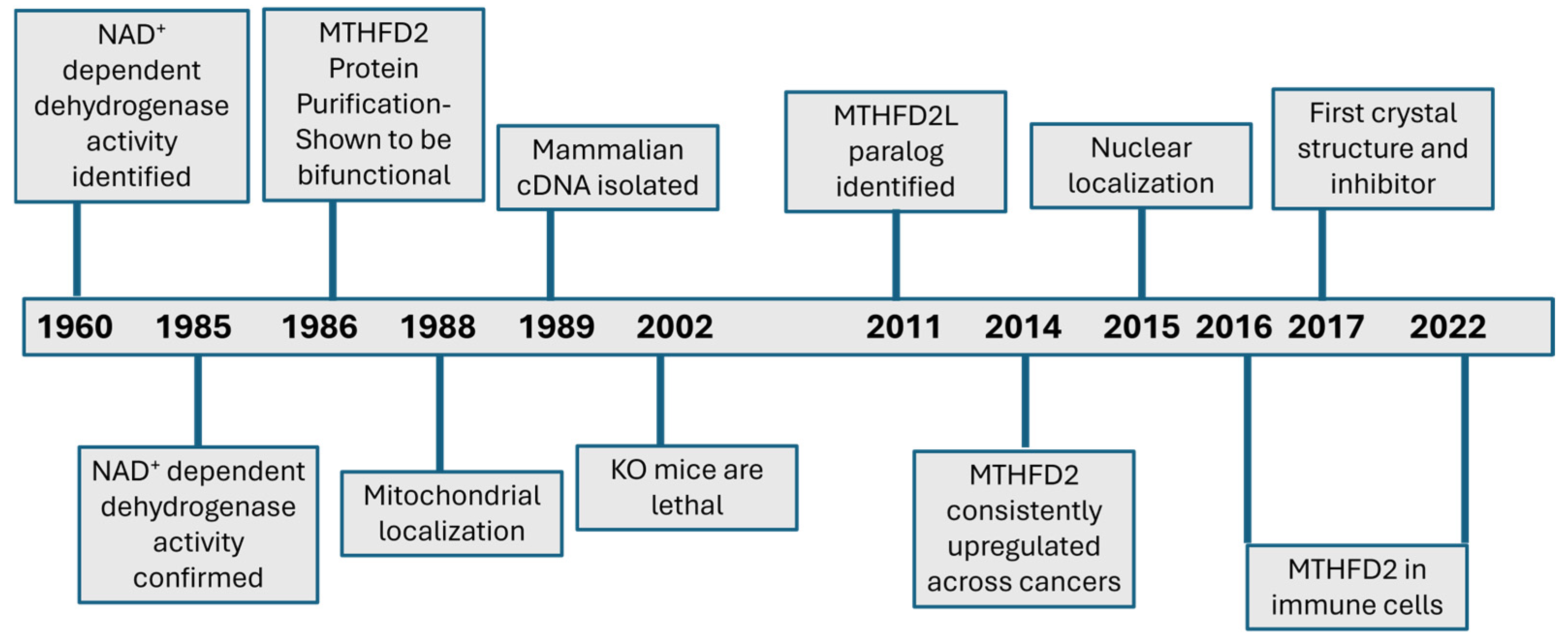 Ijms 26 11025 g001 Ijms 26 11025 g001