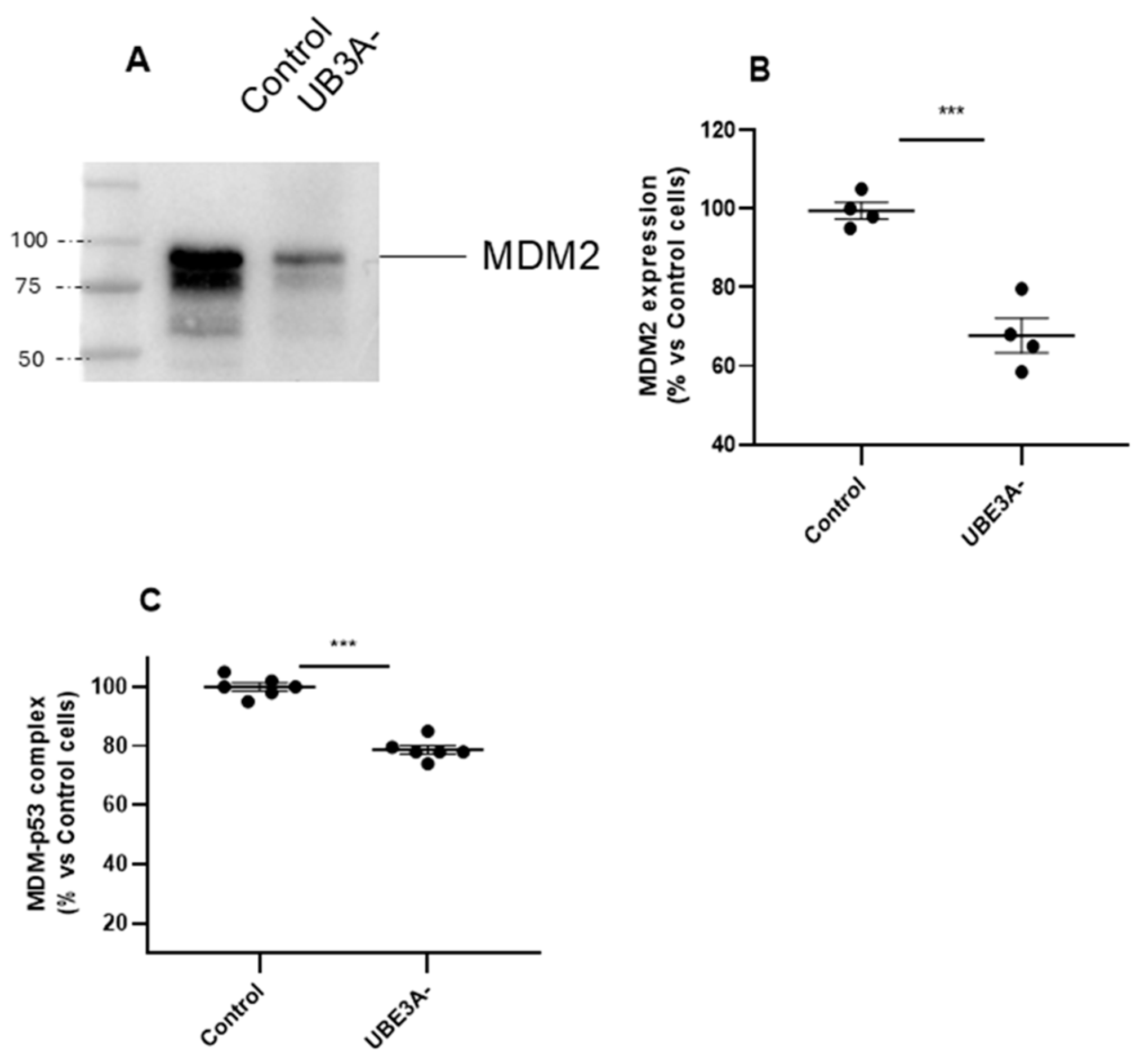 Ijms 26 11032 g002 Ijms 26 11032 g002