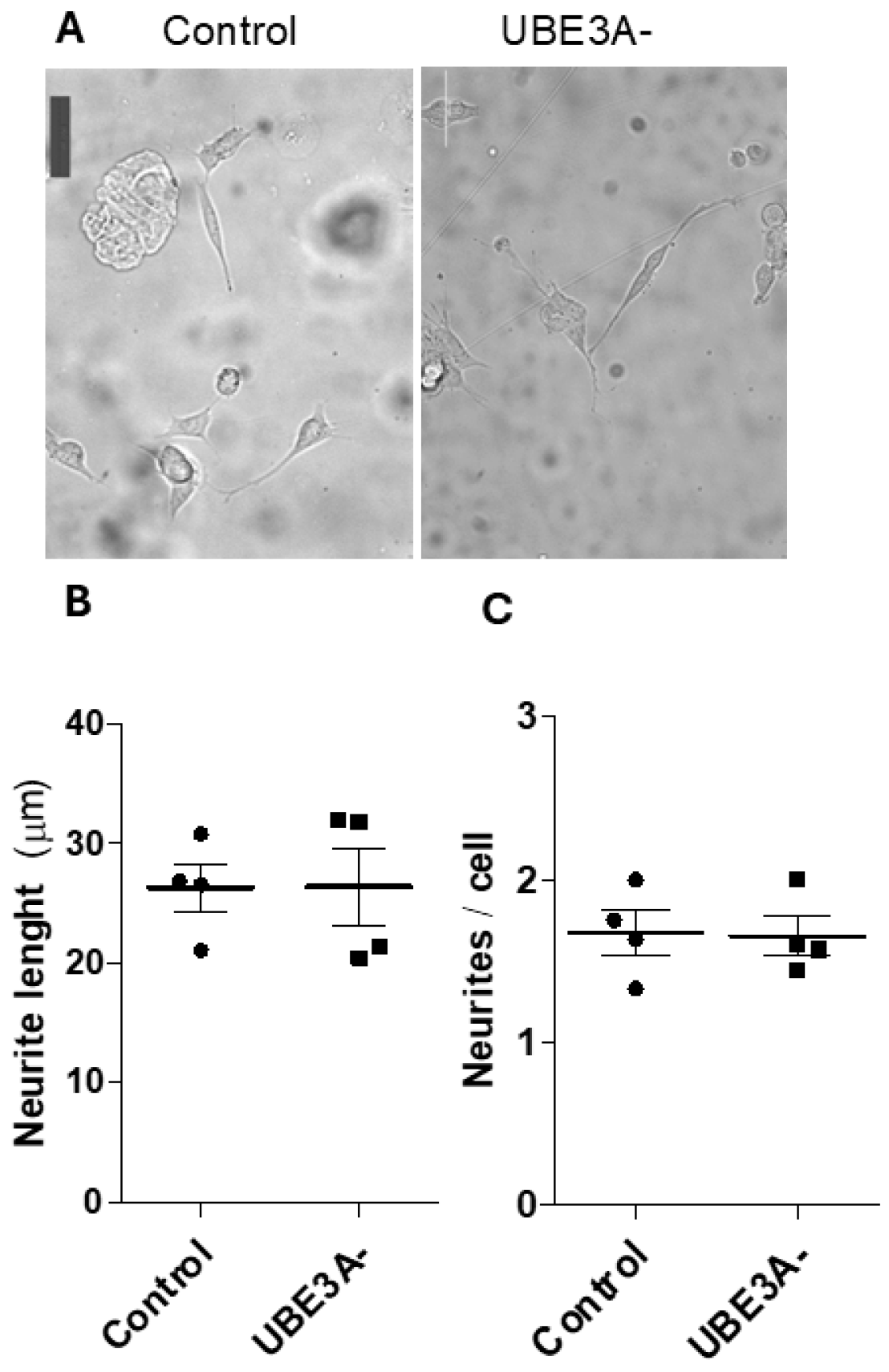 Ijms 26 11032 g005 Ijms 26 11032 g005