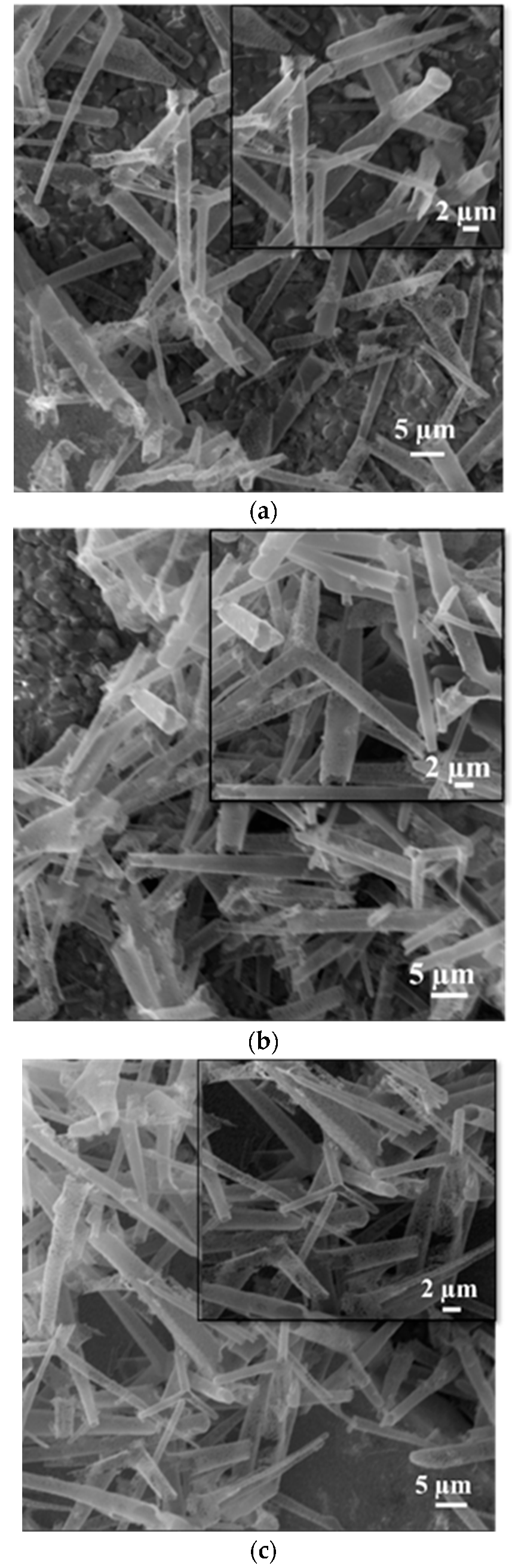 Ijms 26 11035 g002 Ijms 26 11035 g002