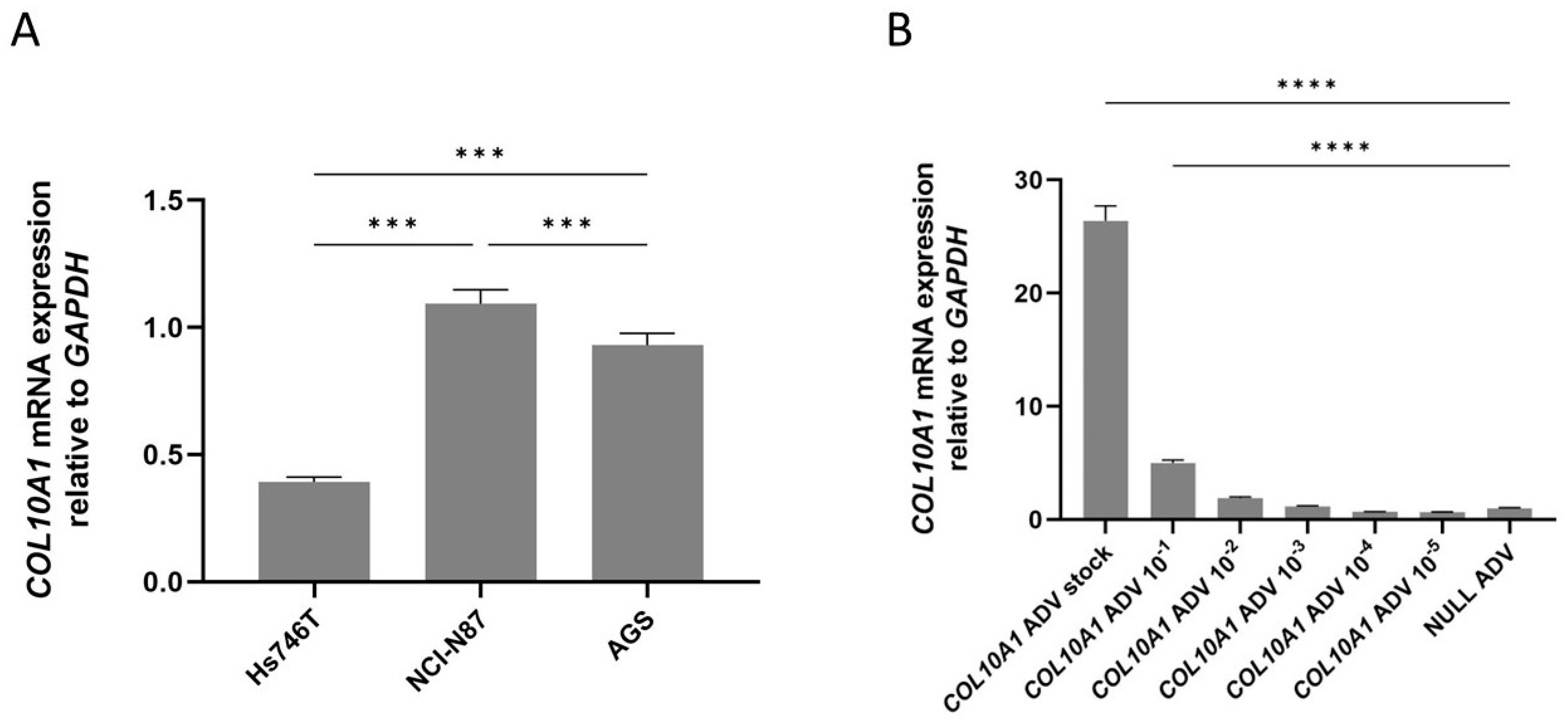 Ijms 26 11043 g002 Ijms 26 11043 g002