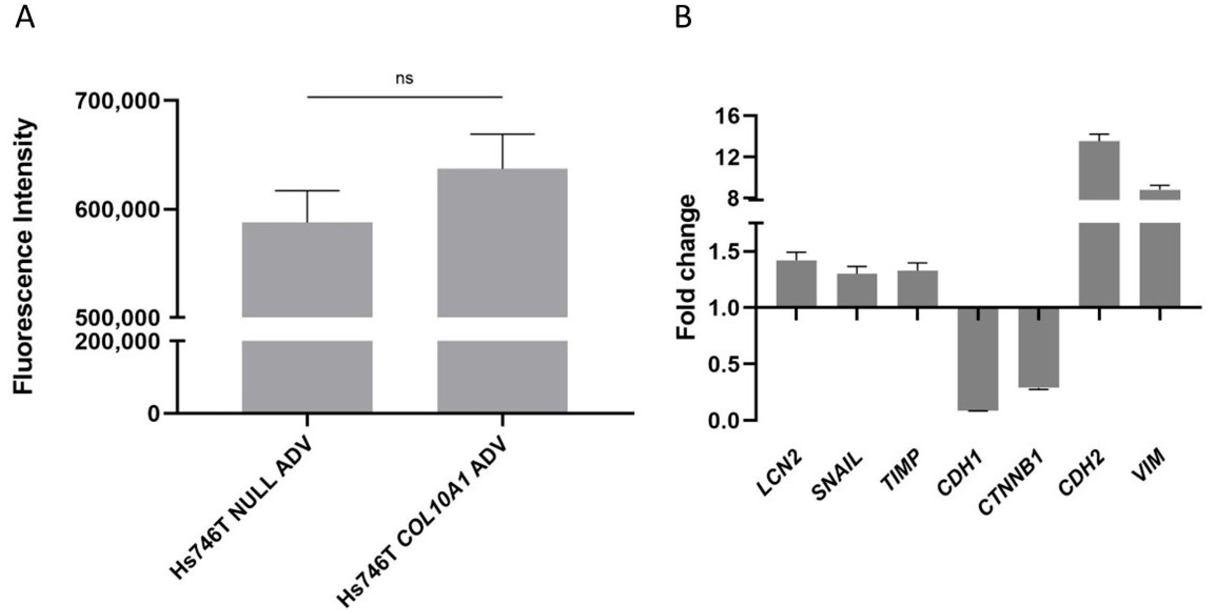 Ijms 26 11043 g004 Ijms 26 11043 g004