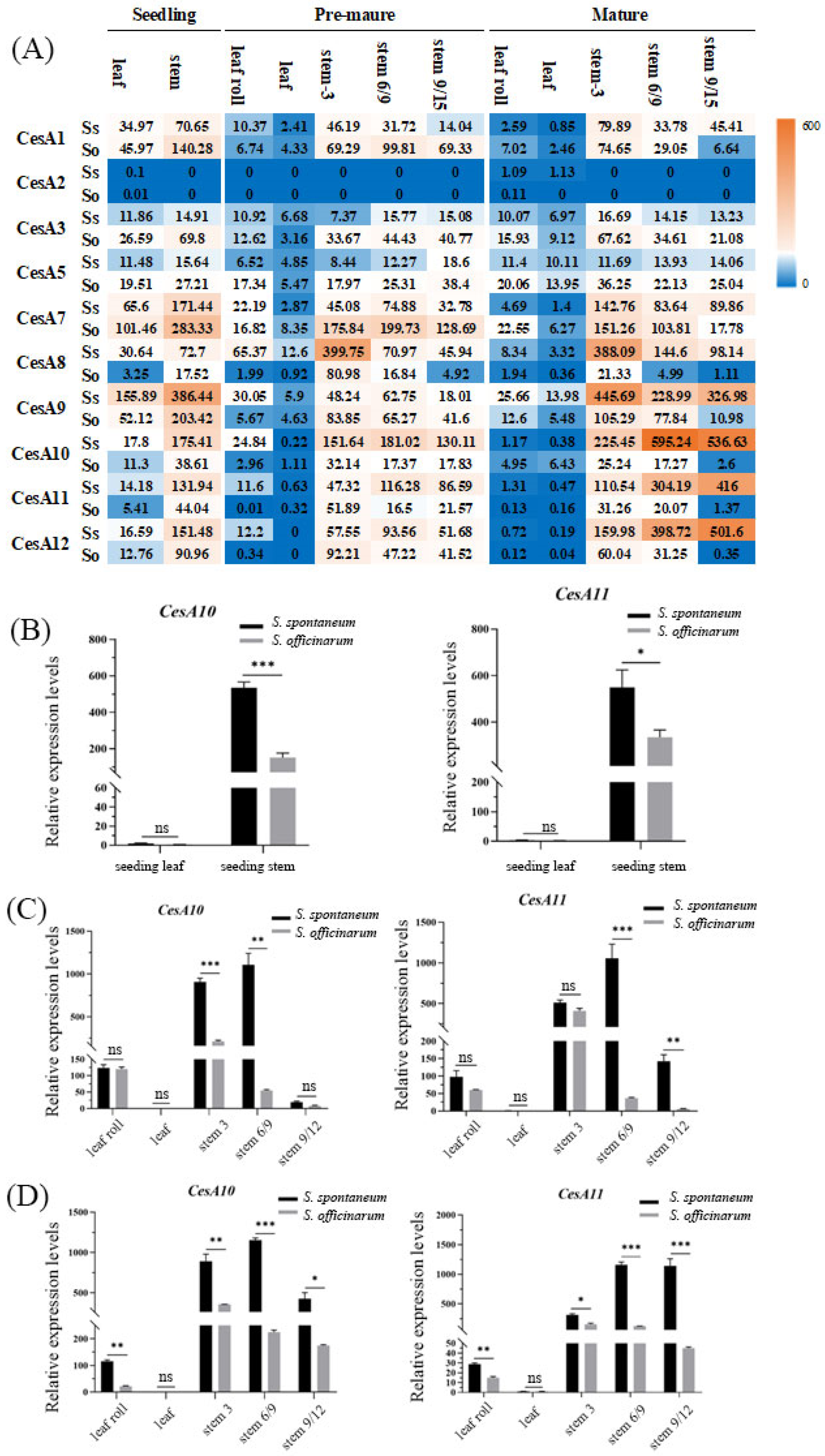Ijms 26 11046 g002 Ijms 26 11046 g002