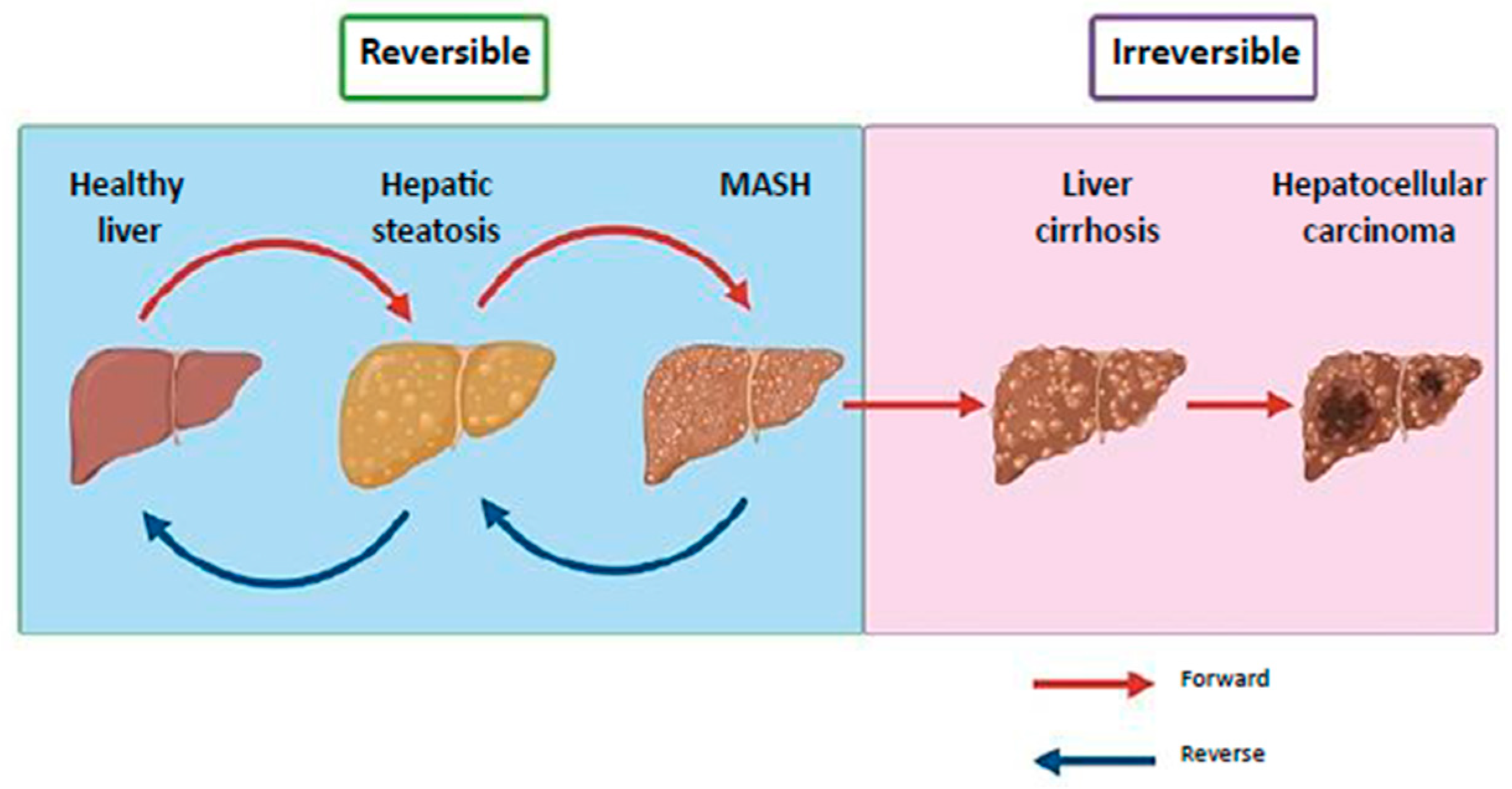 Ijms 26 11054 g001 Ijms 26 11054 g001