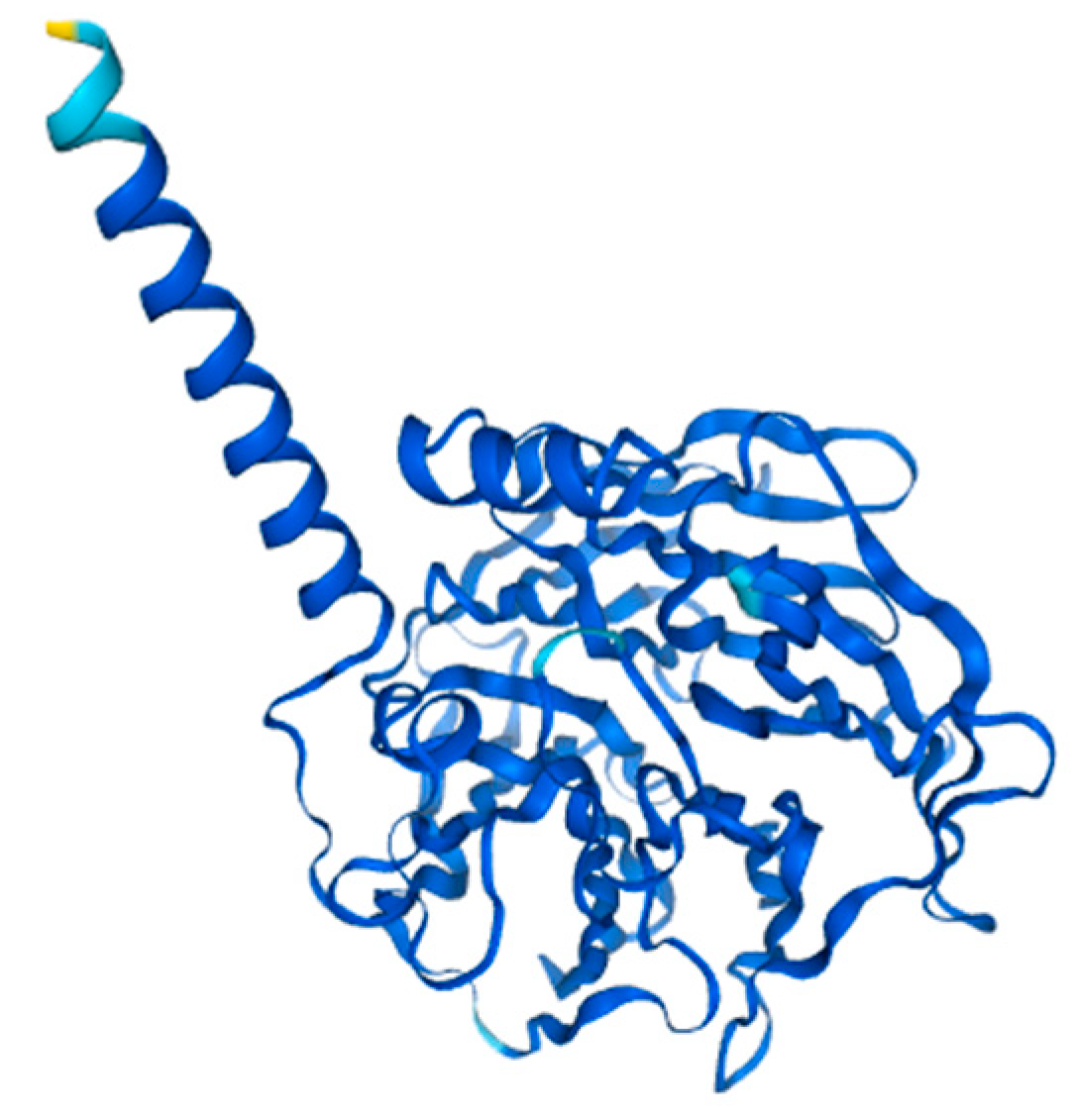 Ijms 26 11054 g004 Ijms 26 11054 g004