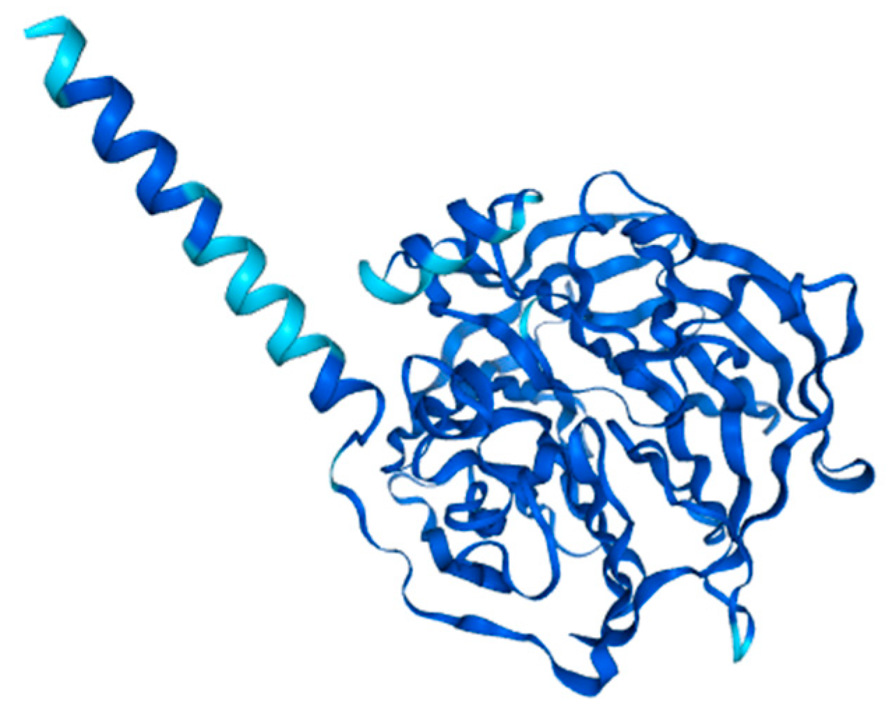 Ijms 26 11054 g005 Ijms 26 11054 g005