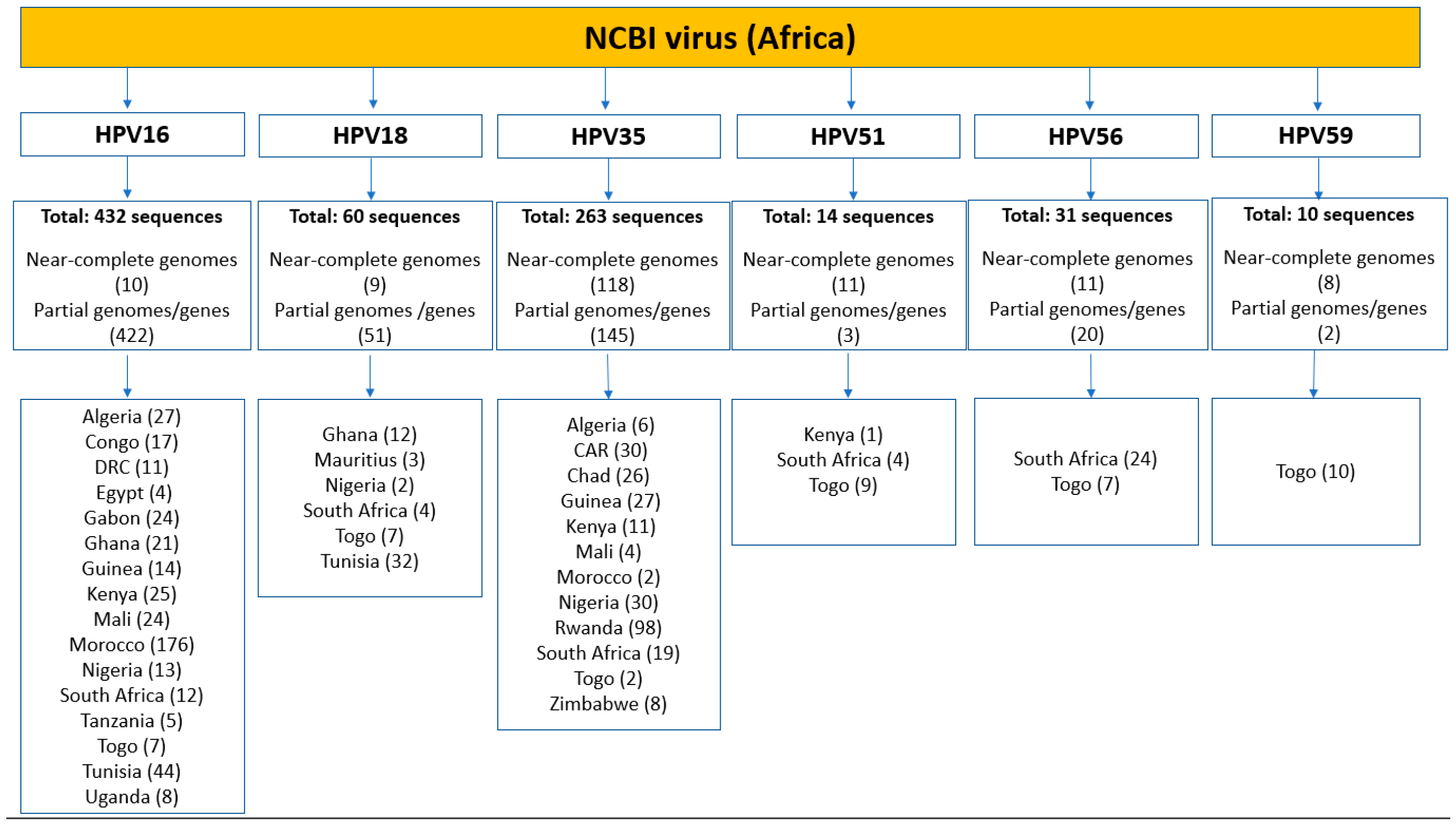 Ijms 26 11056 g001b Ijms 26 11056 g001b
