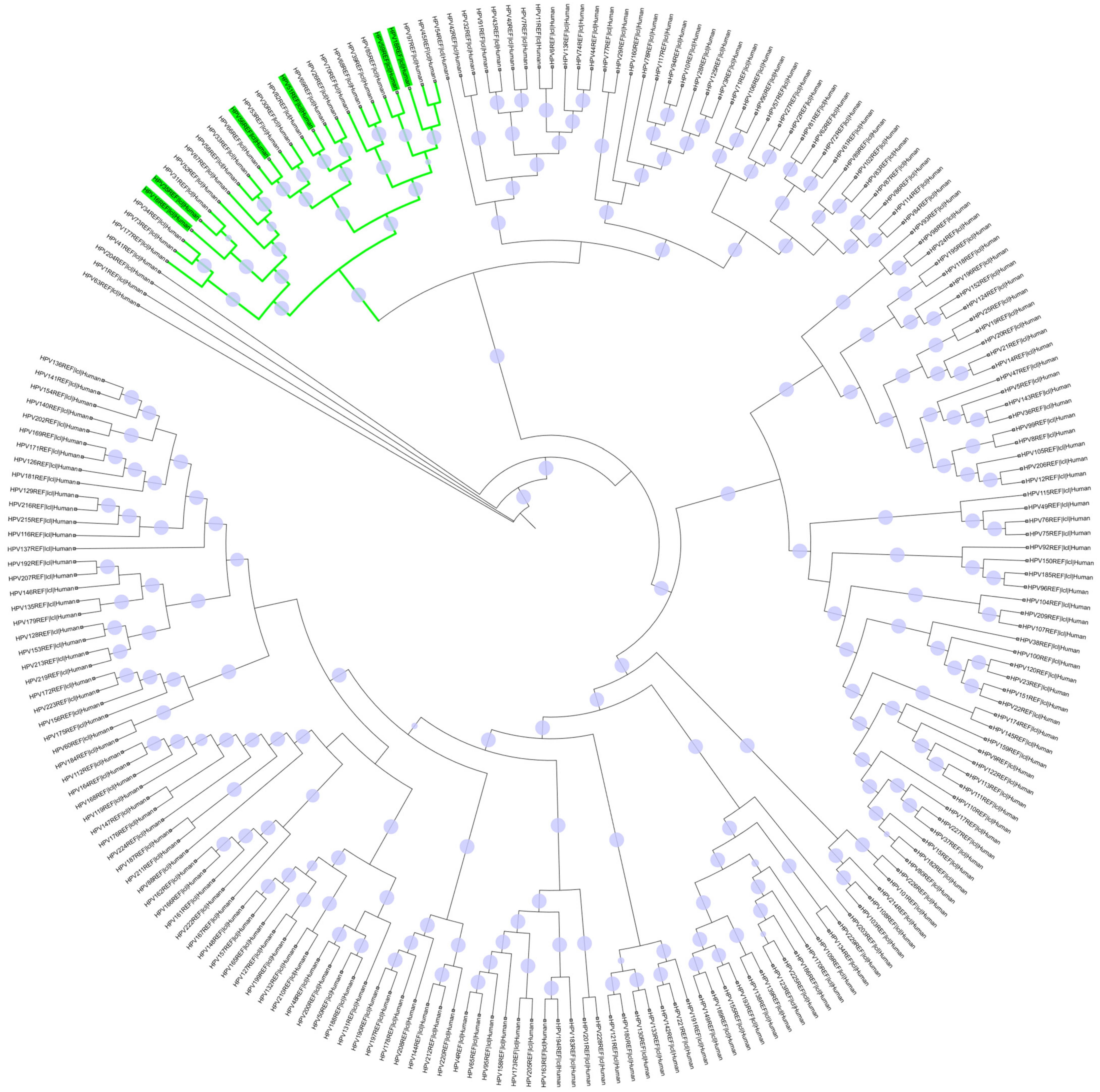 Ijms 26 11056 g002 Ijms 26 11056 g002