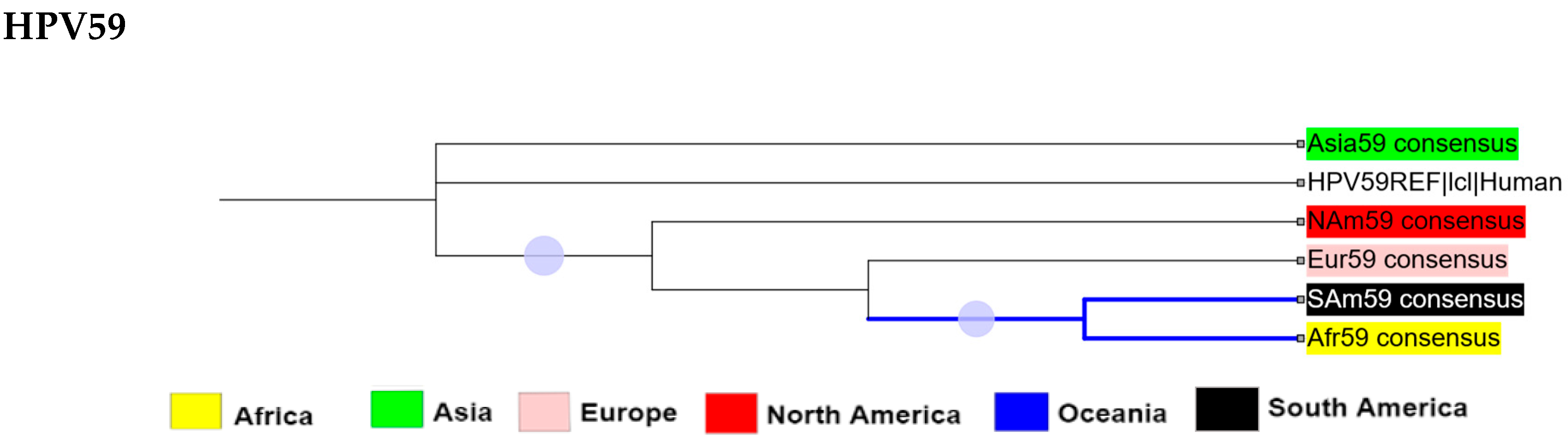 Ijms 26 11056 g003b Ijms 26 11056 g003b