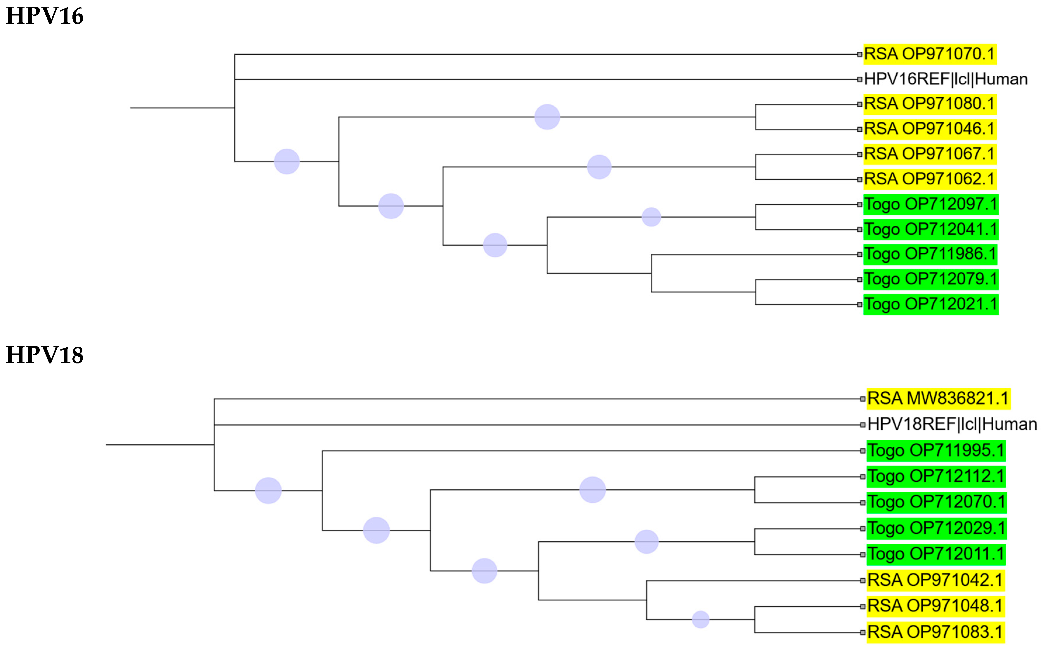 Ijms 26 11056 g004a Ijms 26 11056 g004a