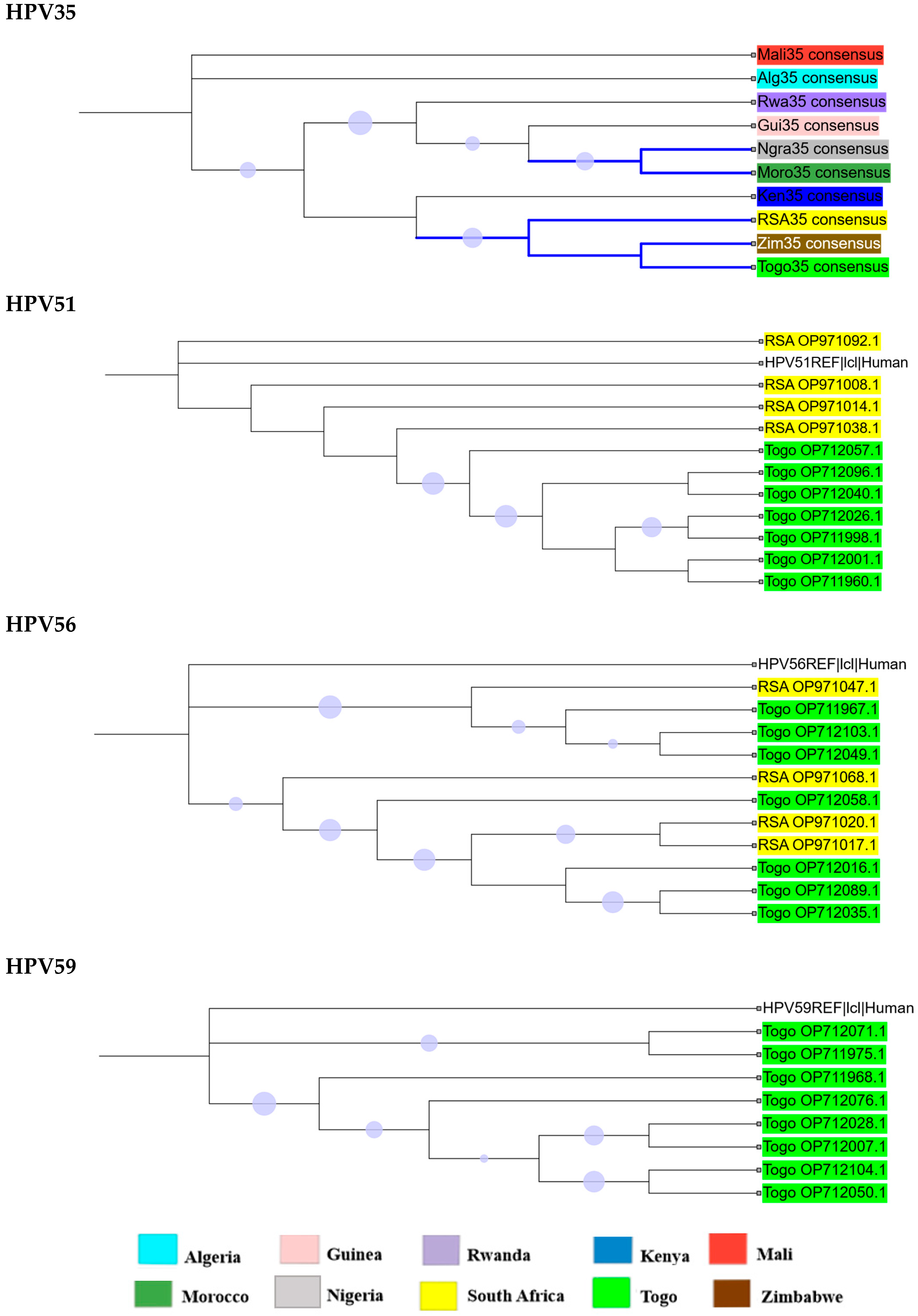 Ijms 26 11056 g004b Ijms 26 11056 g004b
