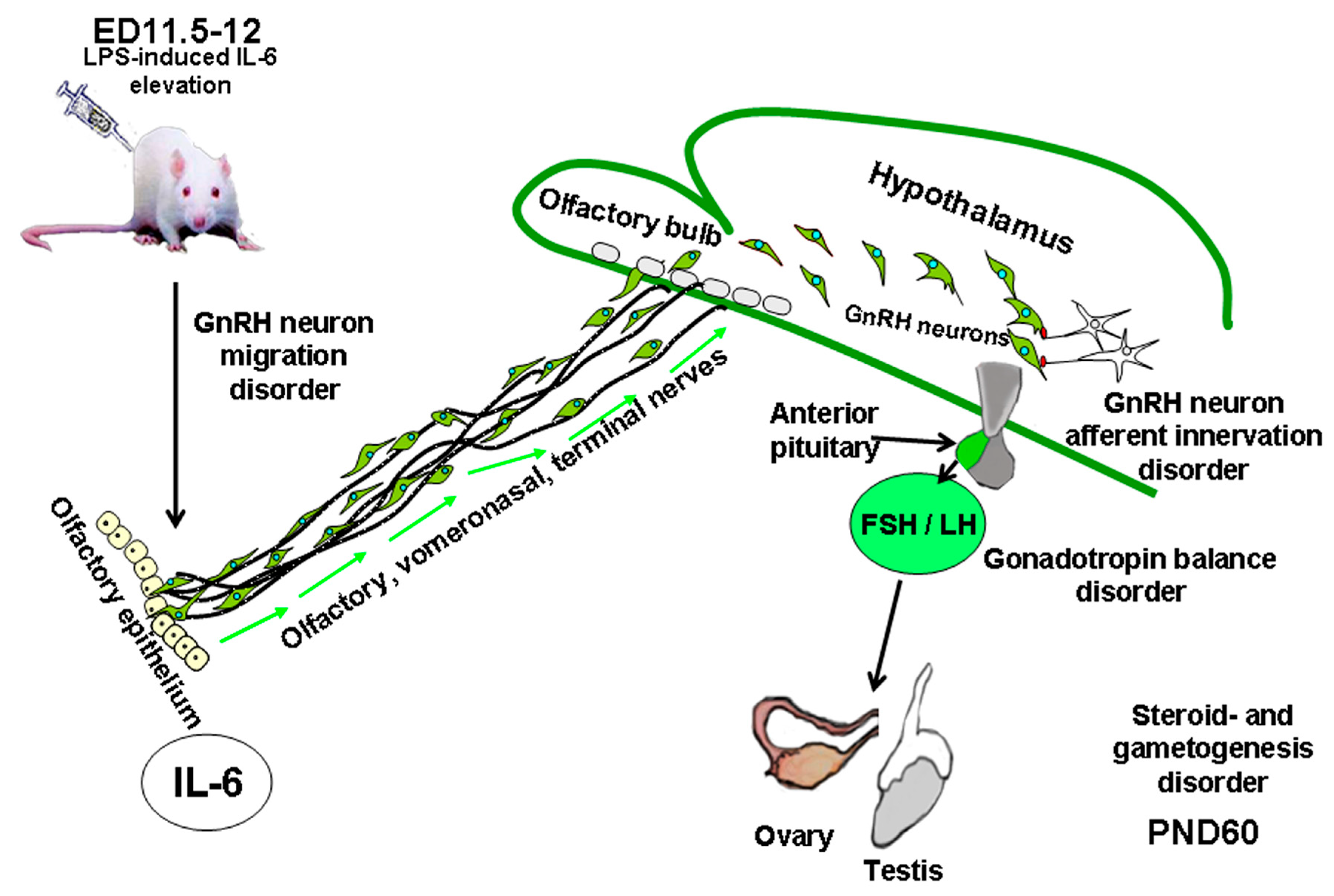 Ijms 26 11057 g002 Ijms 26 11057 g002