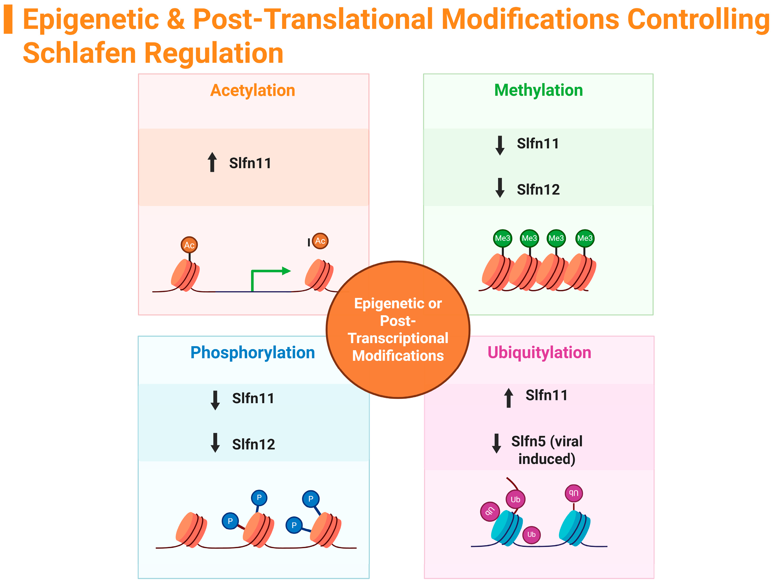 Ijms 26 11058 g003 Ijms 26 11058 g003
