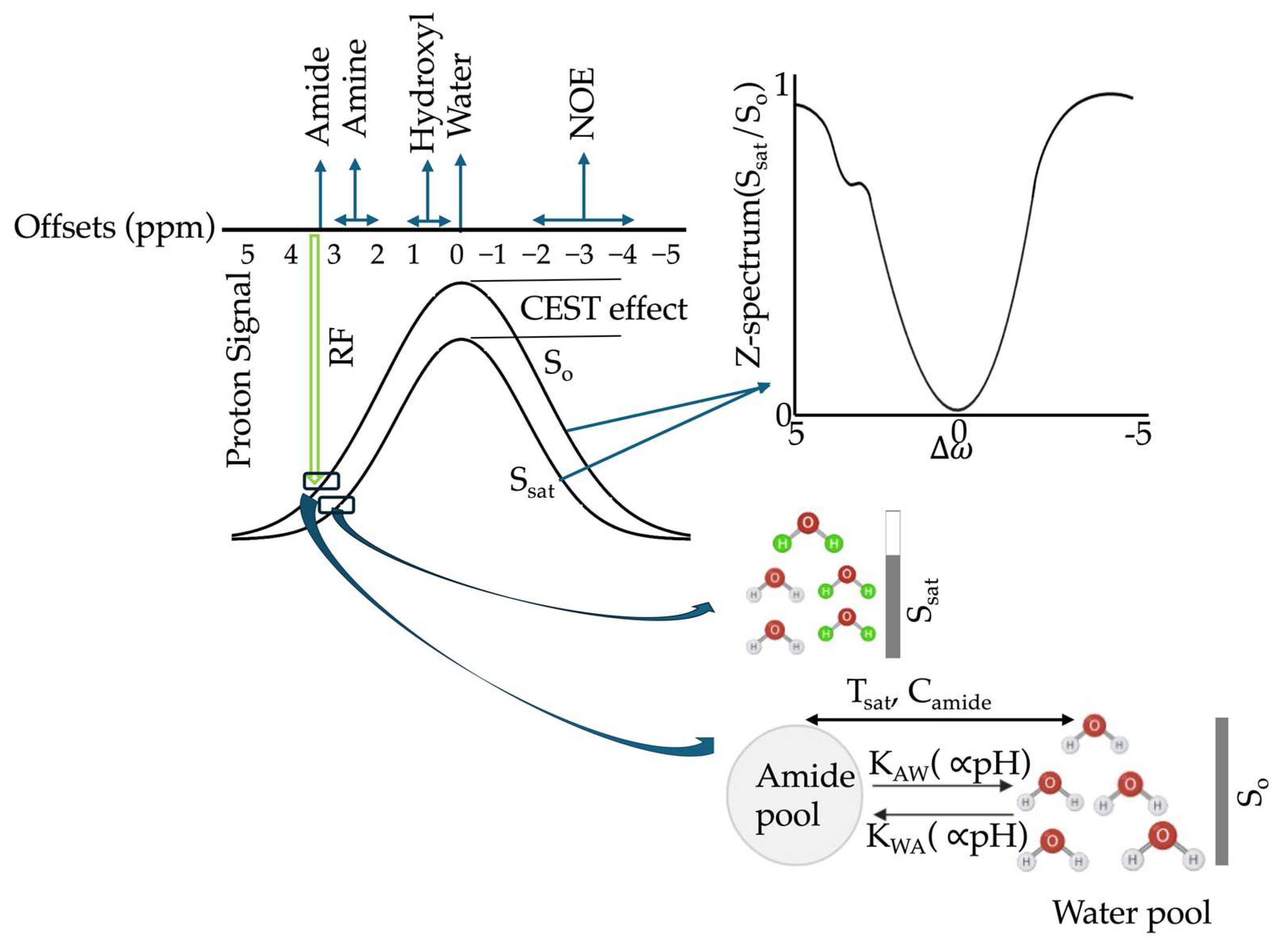 Ijms 26 11059 g002 Ijms 26 11059 g002