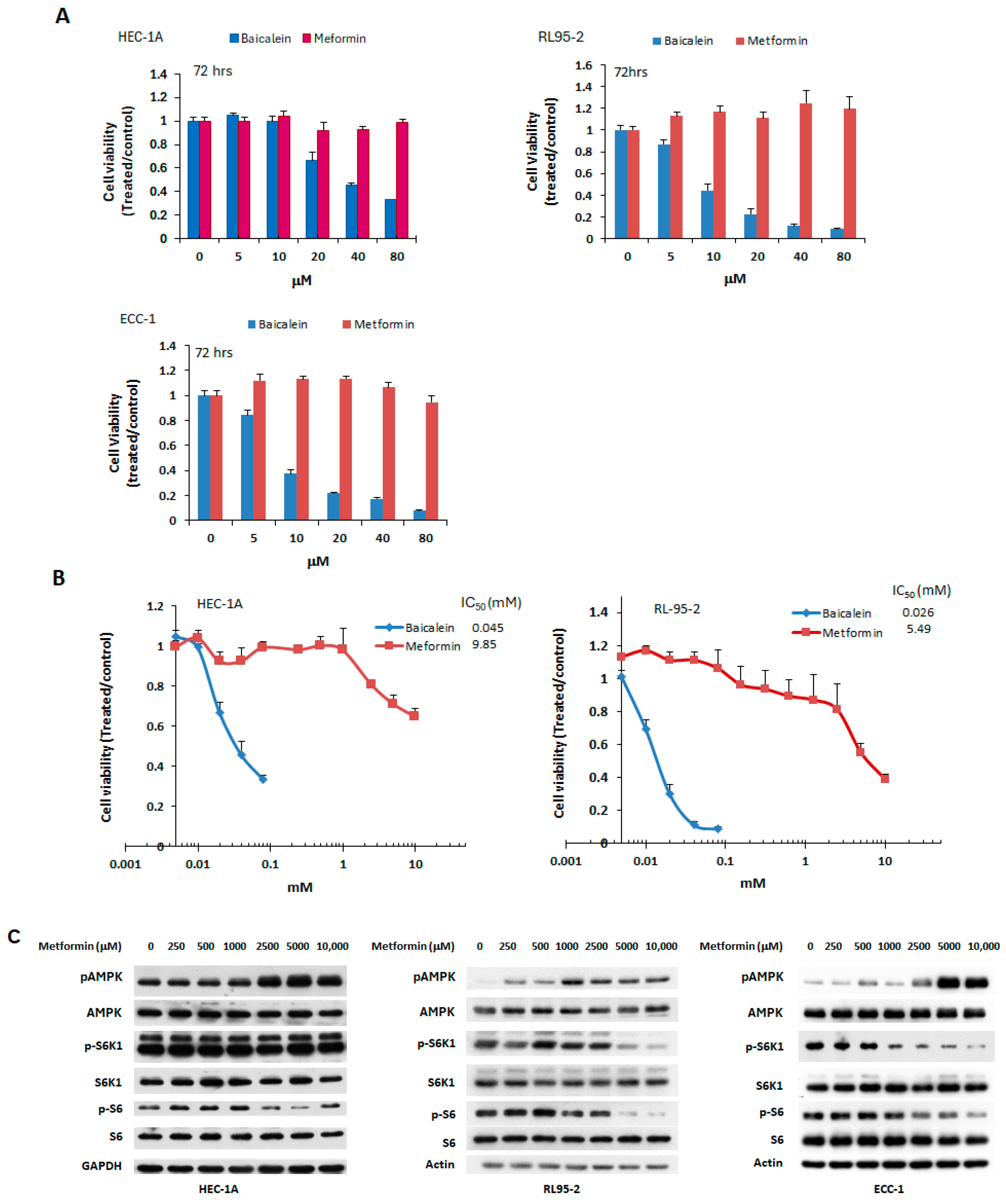 Ijms 26 11061 g005 Ijms 26 11061 g005