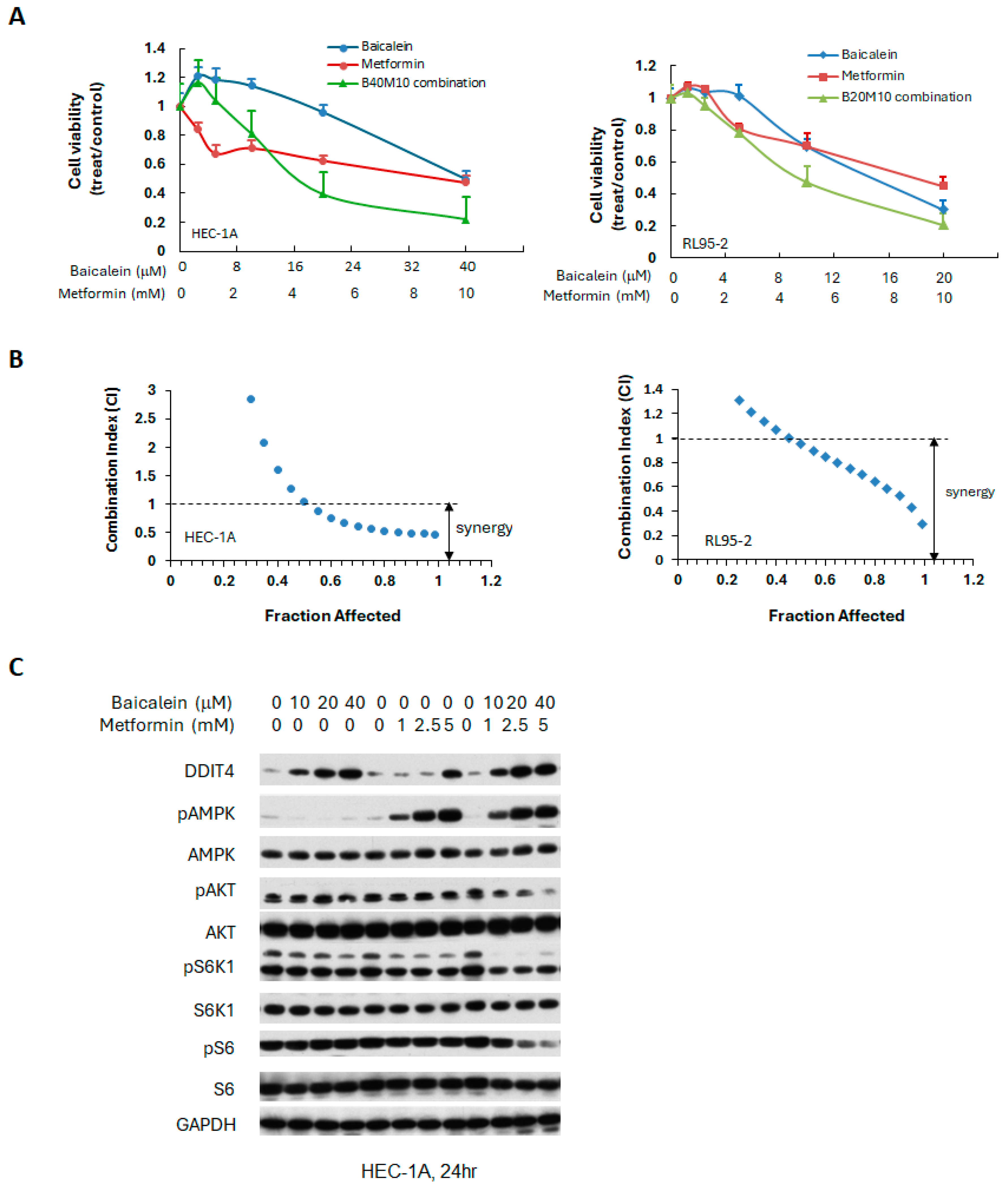 Ijms 26 11061 g006 Ijms 26 11061 g006