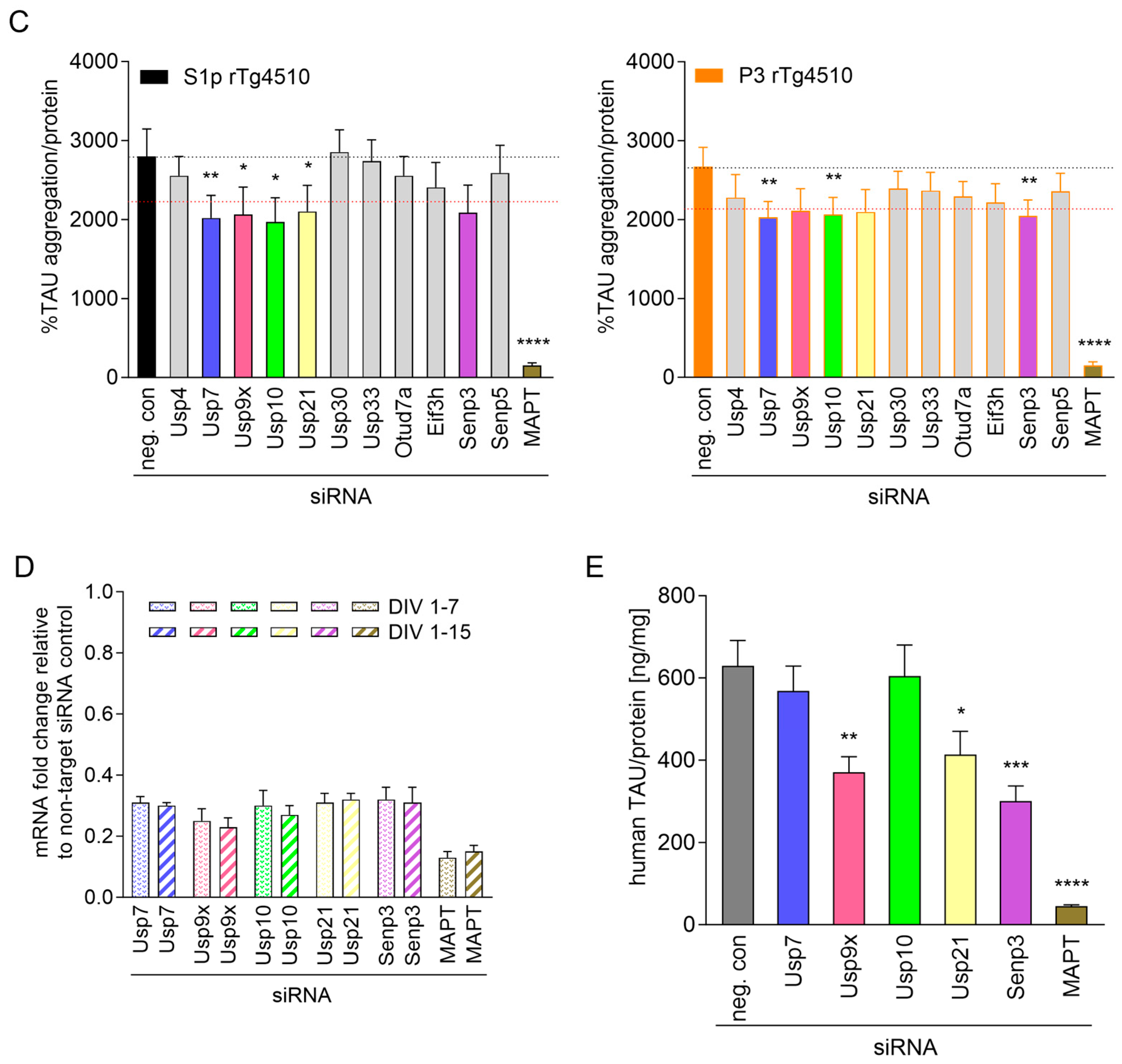 Ijms 26 11062 g002b Ijms 26 11062 g002b
