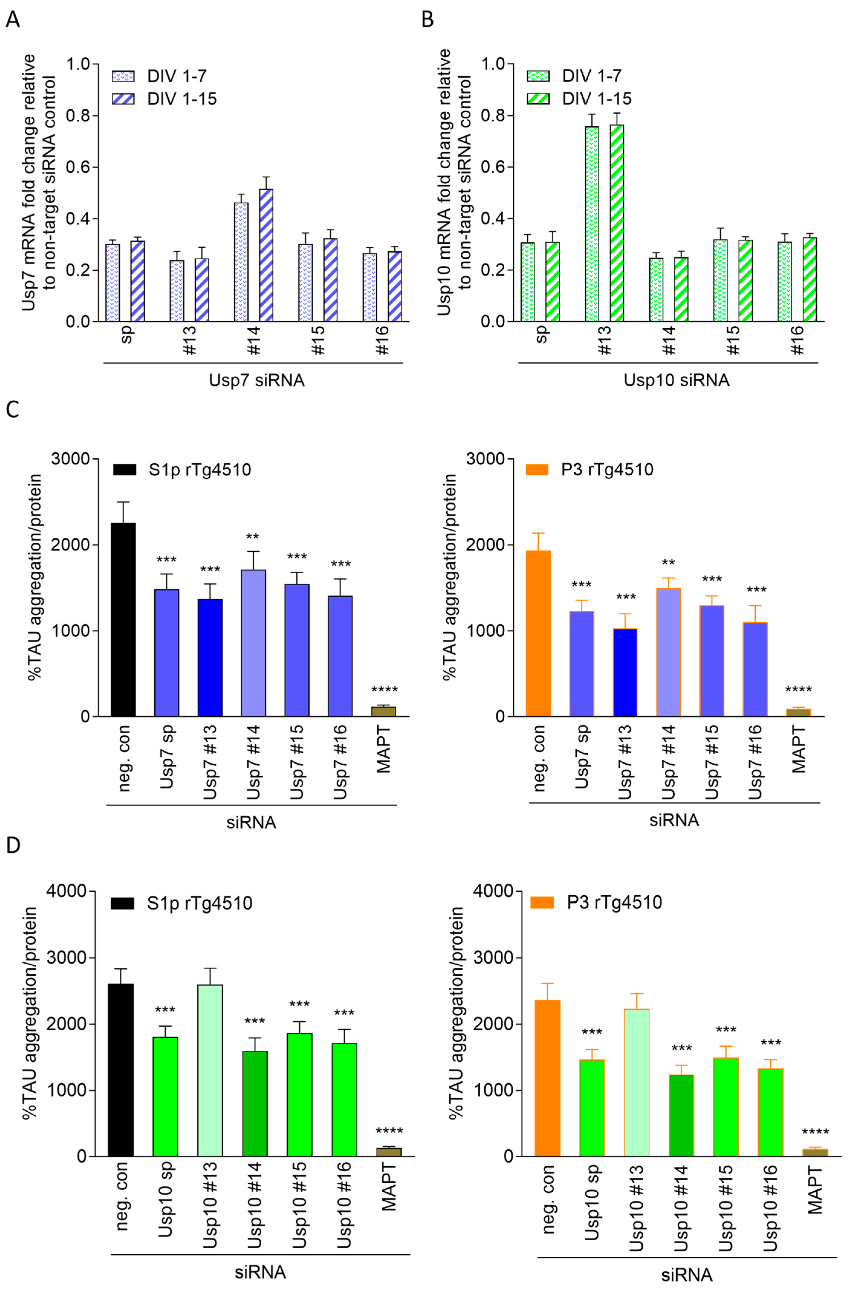 Ijms 26 11062 g003 Ijms 26 11062 g003