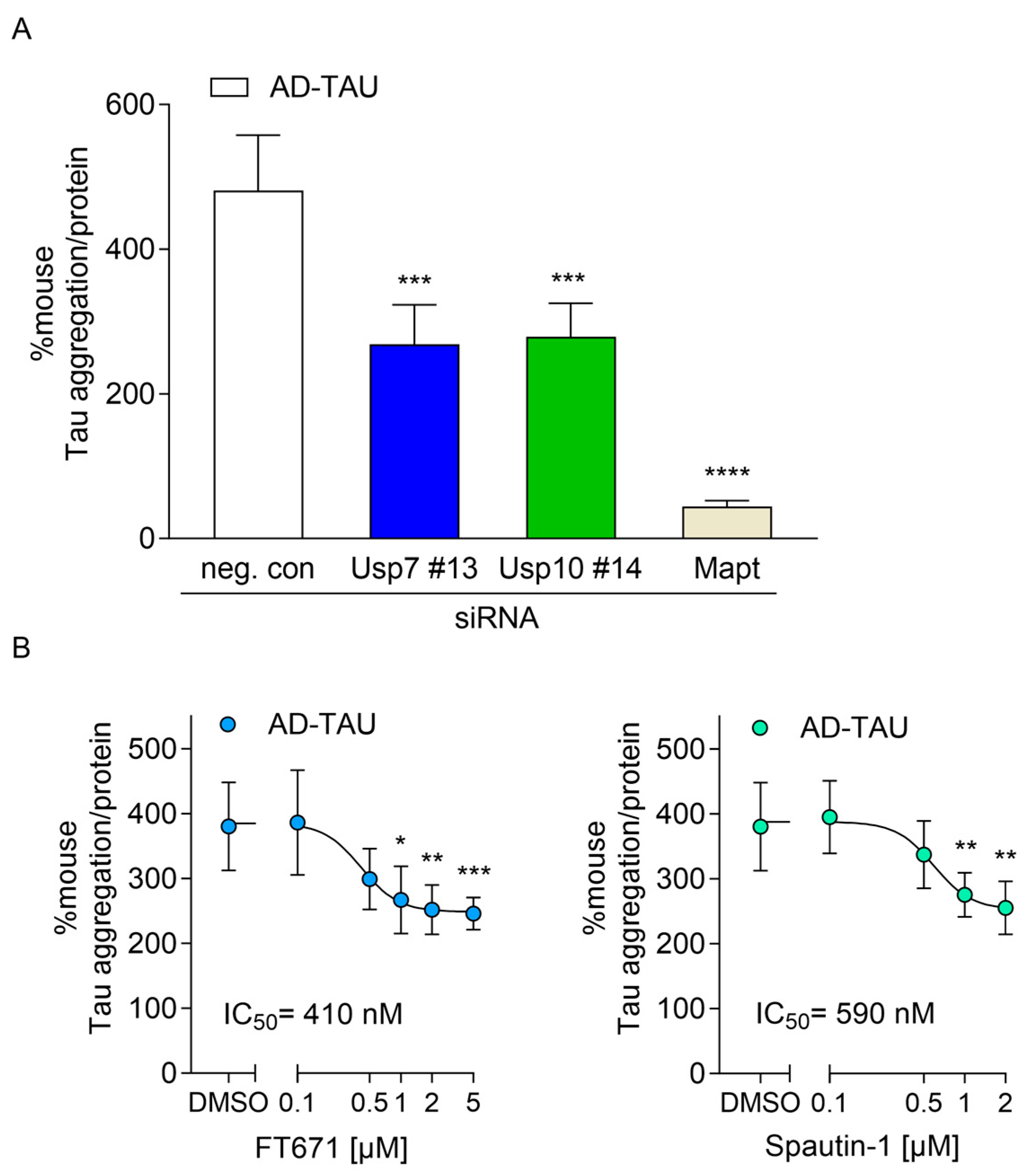 Ijms 26 11062 g004 Ijms 26 11062 g004