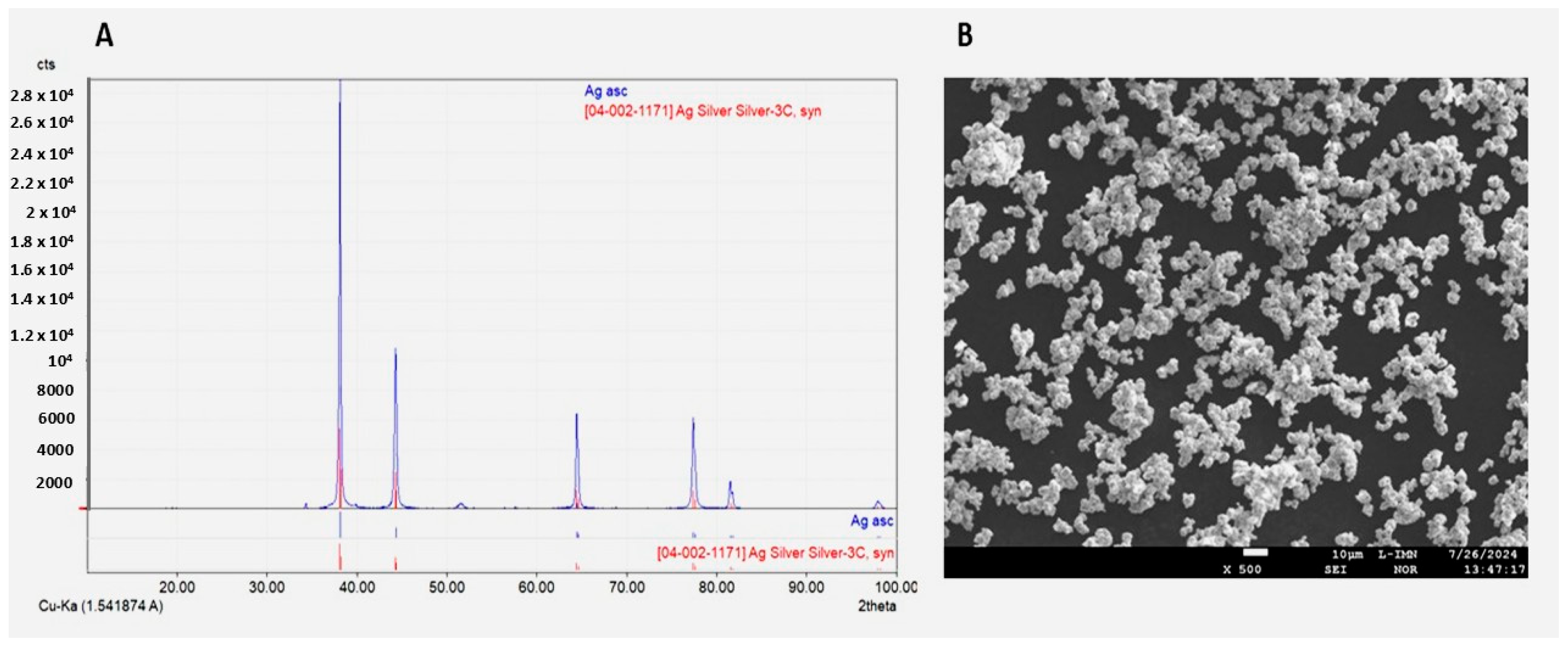Ijms 26 11068 g001 Ijms 26 11068 g001