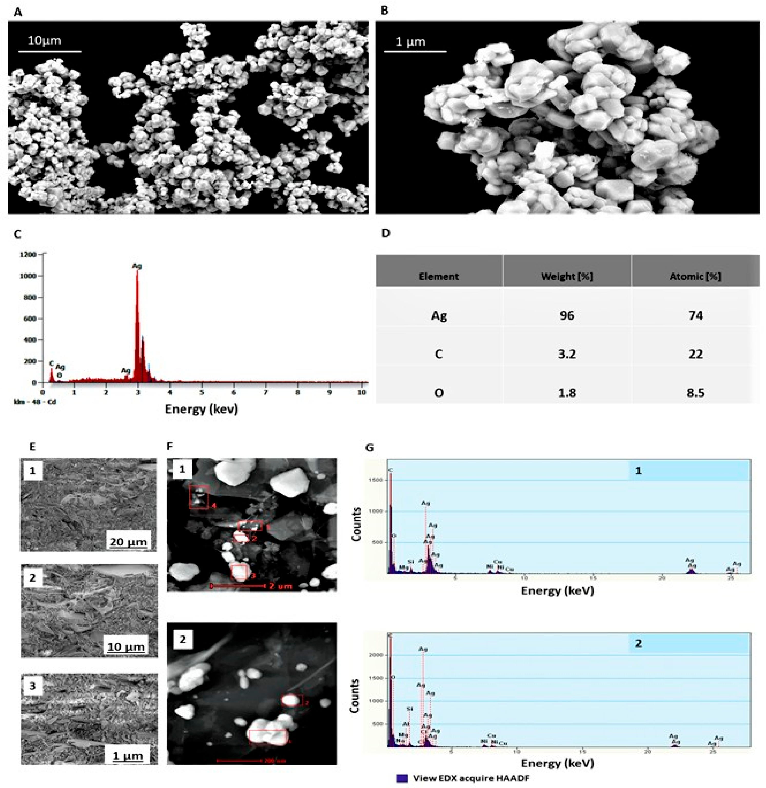 Ijms 26 11068 g002 Ijms 26 11068 g002