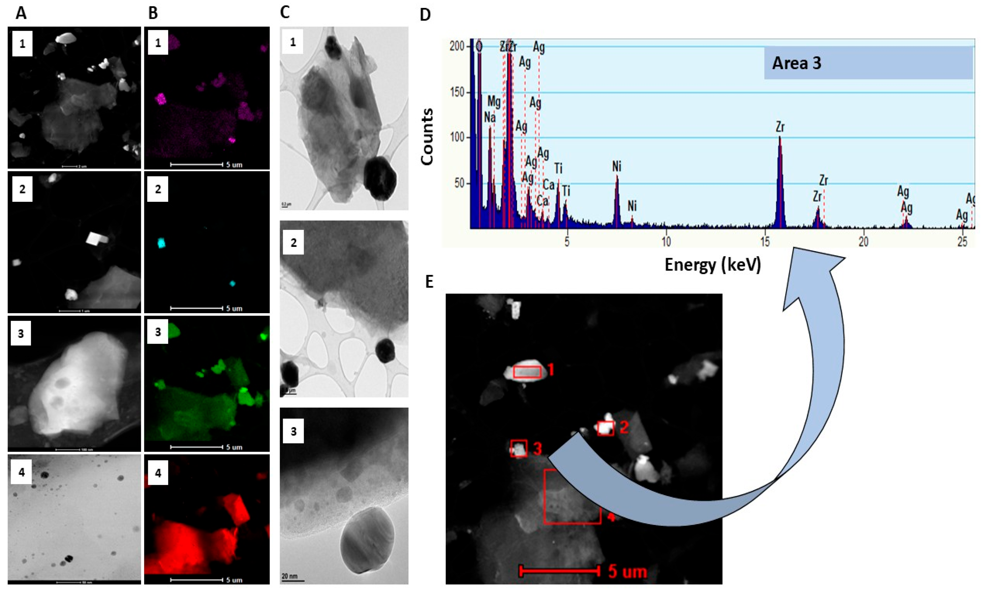 Ijms 26 11068 g003 Ijms 26 11068 g003